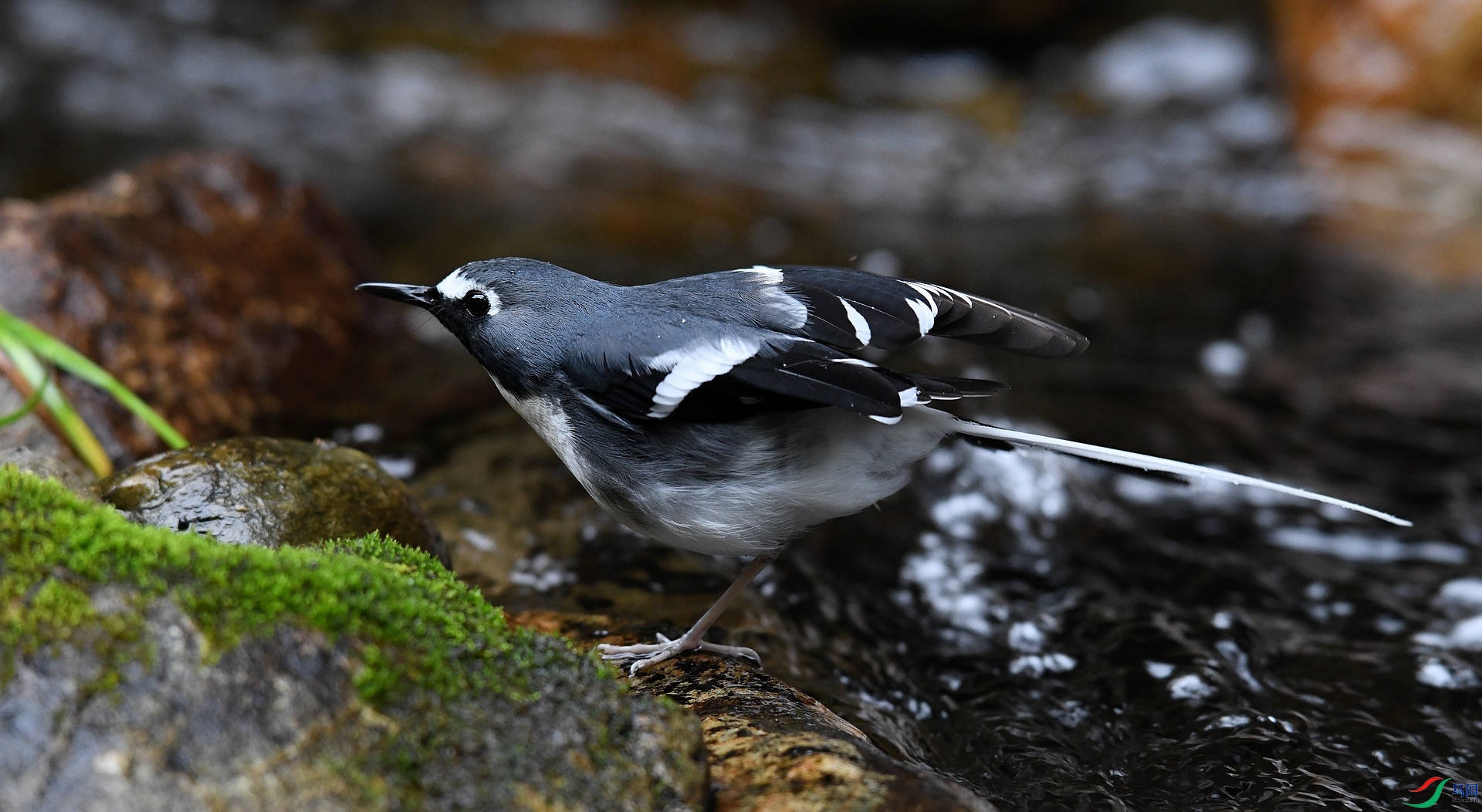 DSC_4489.jpg