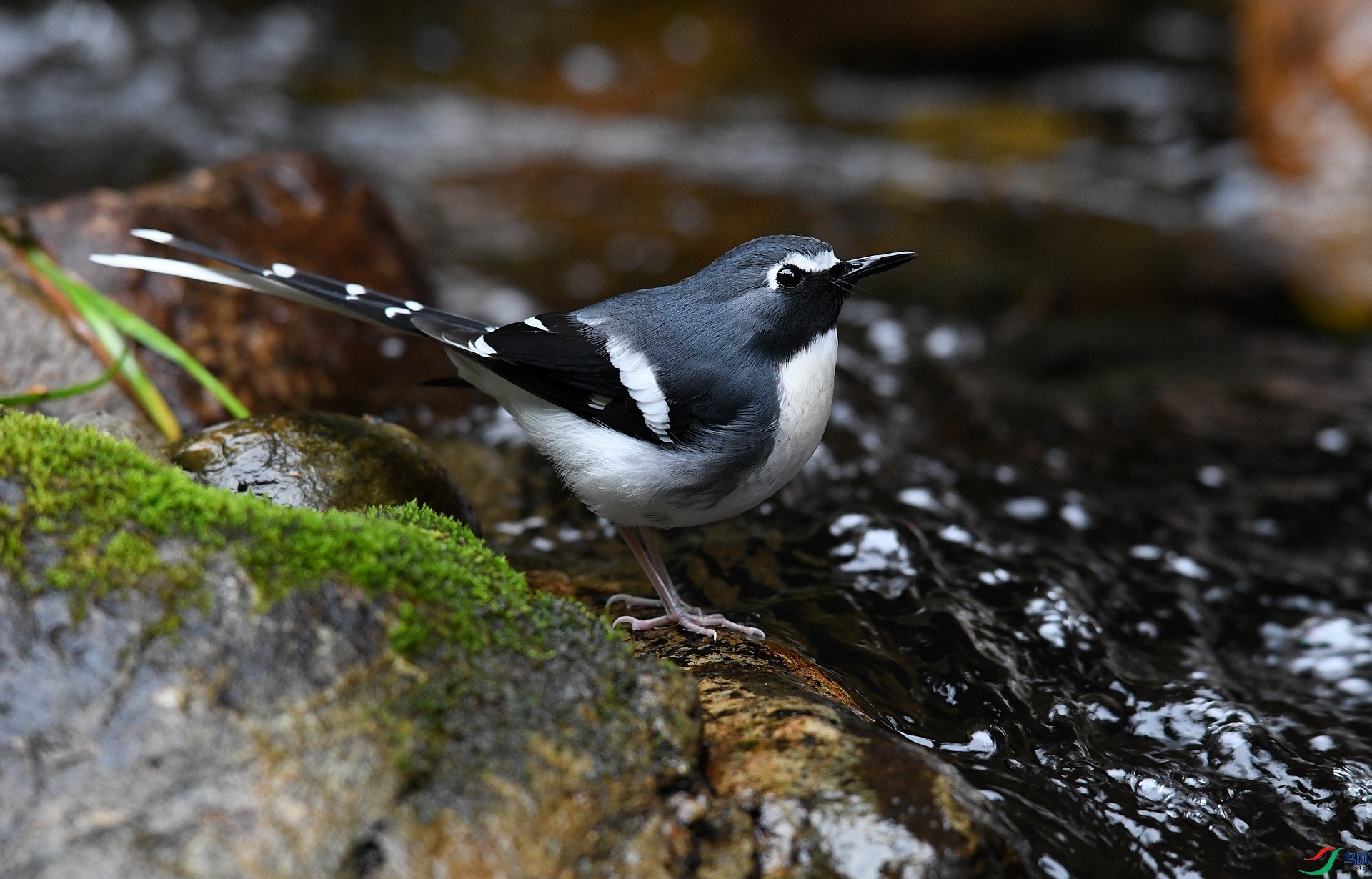 DSC_4475.jpg