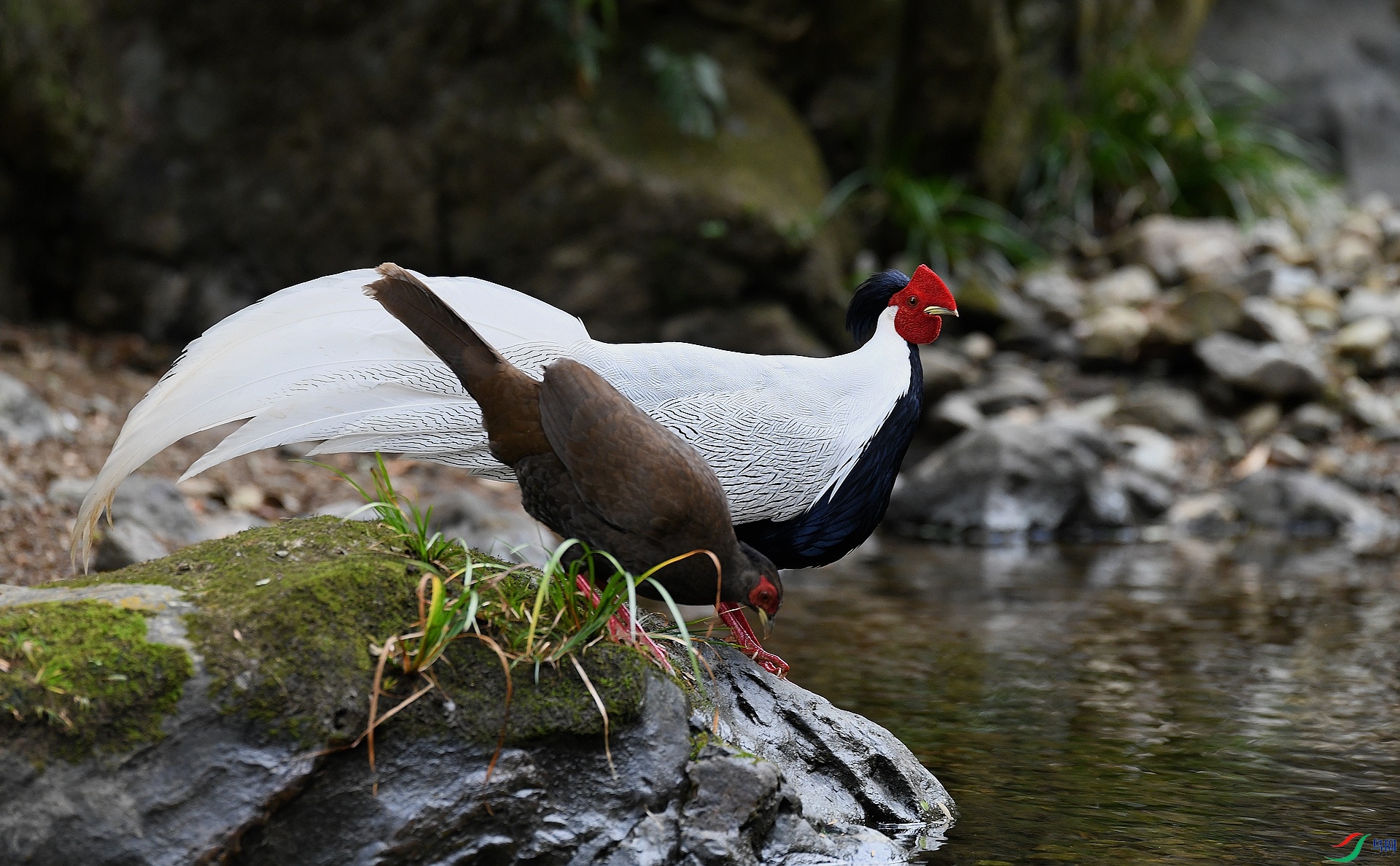 DSC_2278.jpg