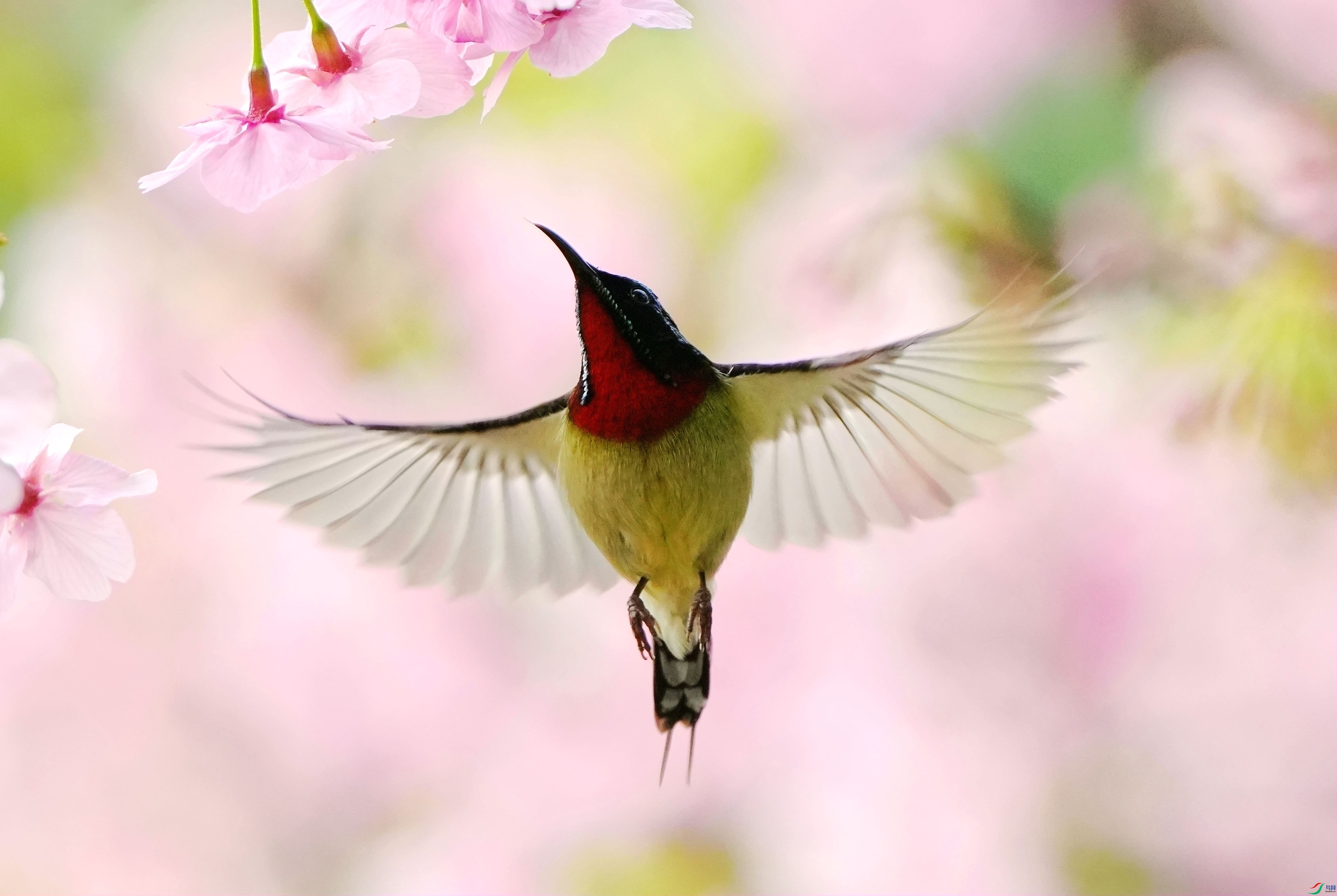 ��������DSC03188_����.jpg