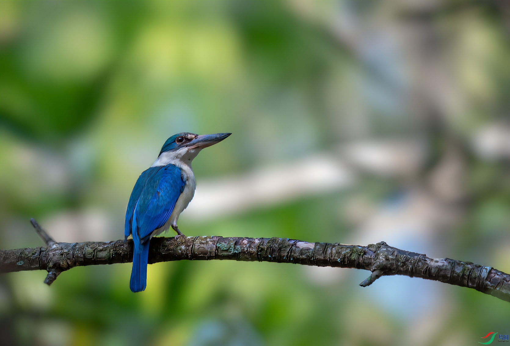 DSC_7031-11.jpg
