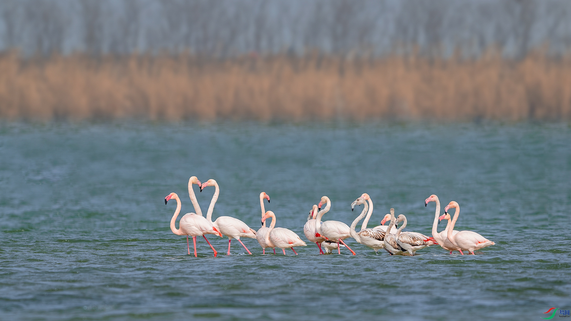 _DSC6054-����ǿ-NR ����С_1.jpg