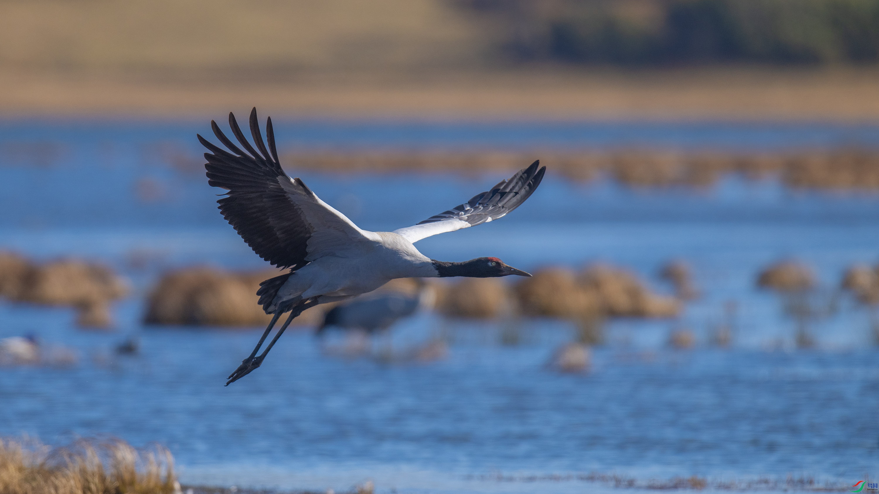 �ھ��� (16).jpg