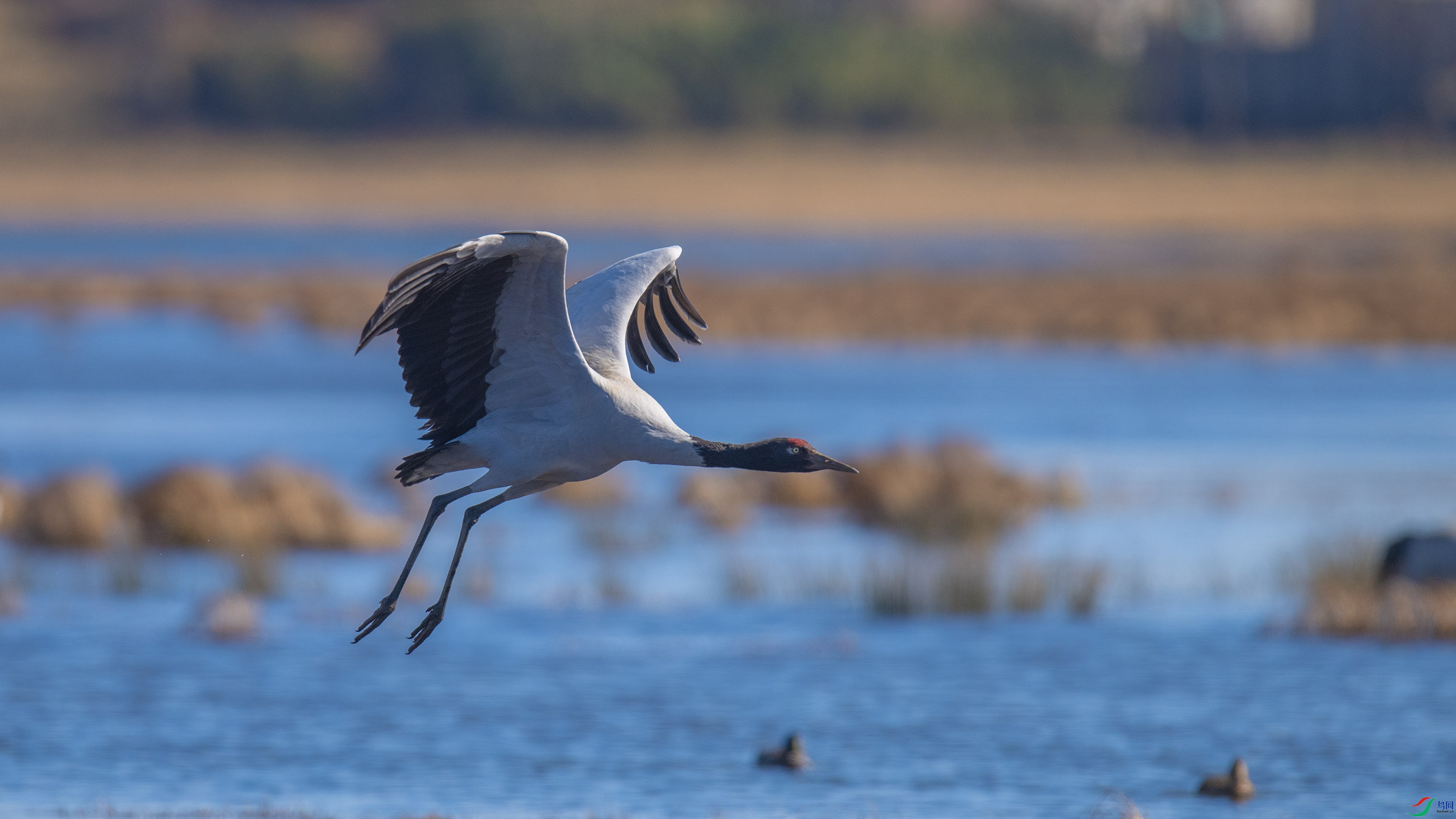 �ھ��� (17).jpg