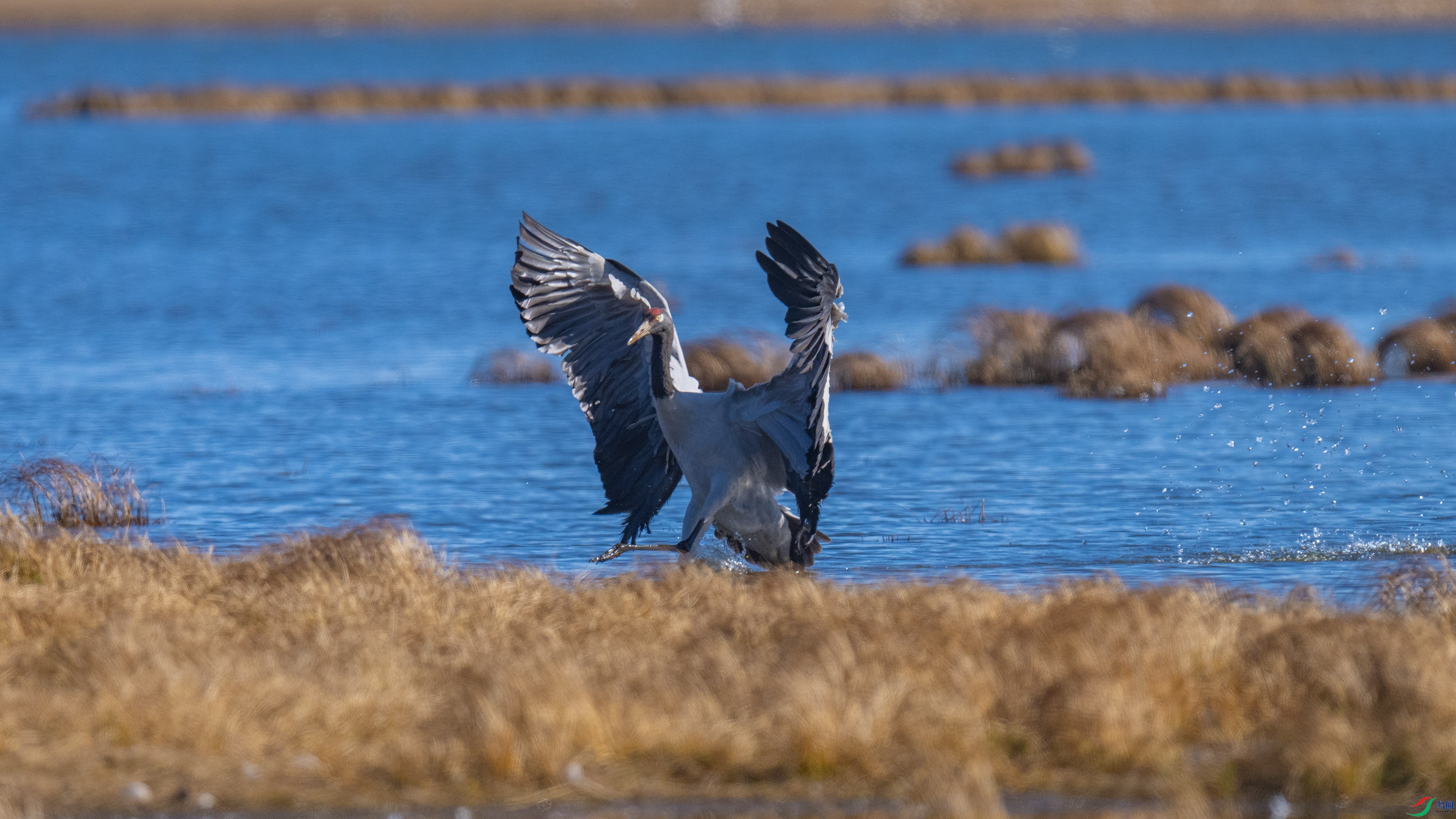 �ھ��� (23).jpg