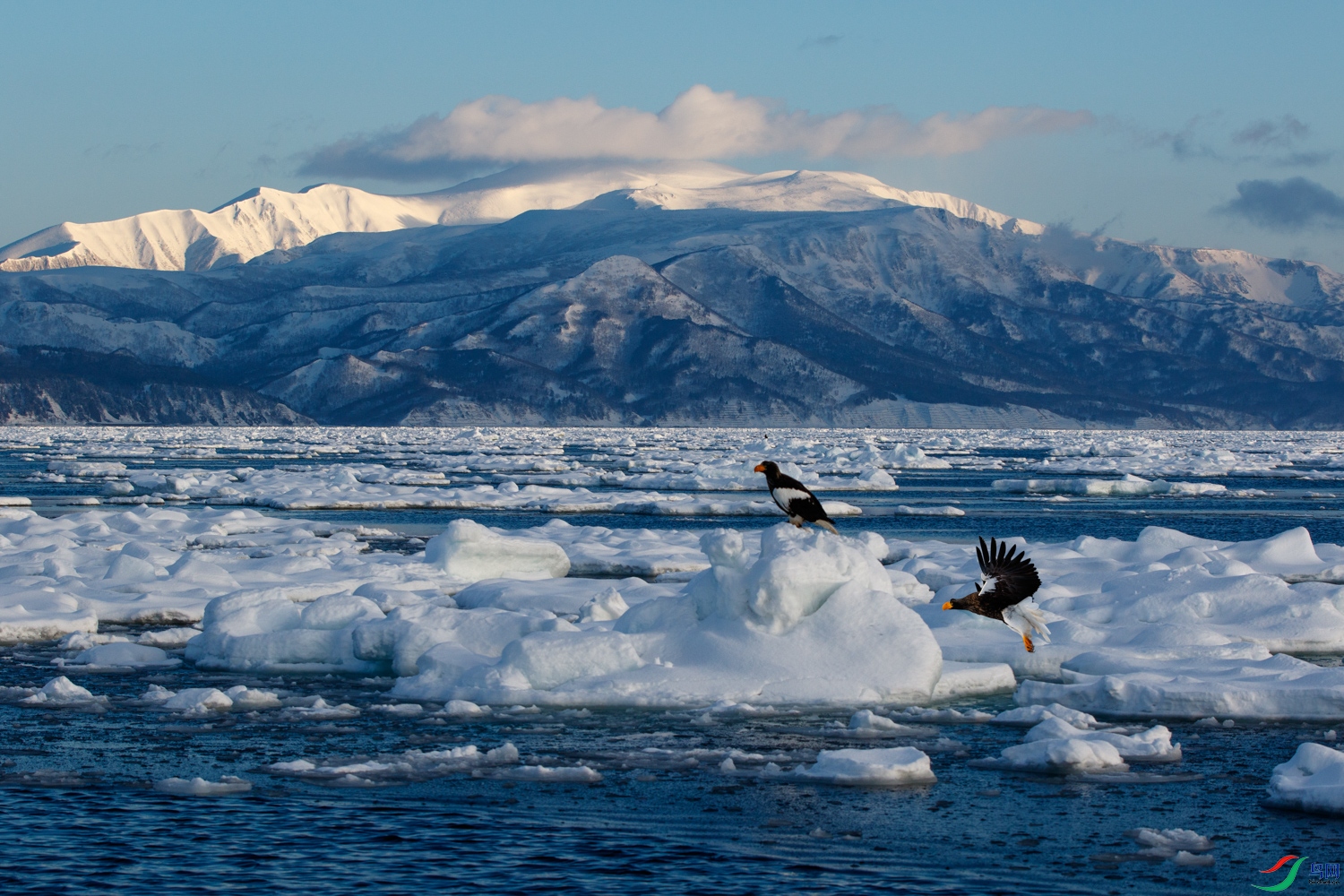 1N5A8326 ����.jpg