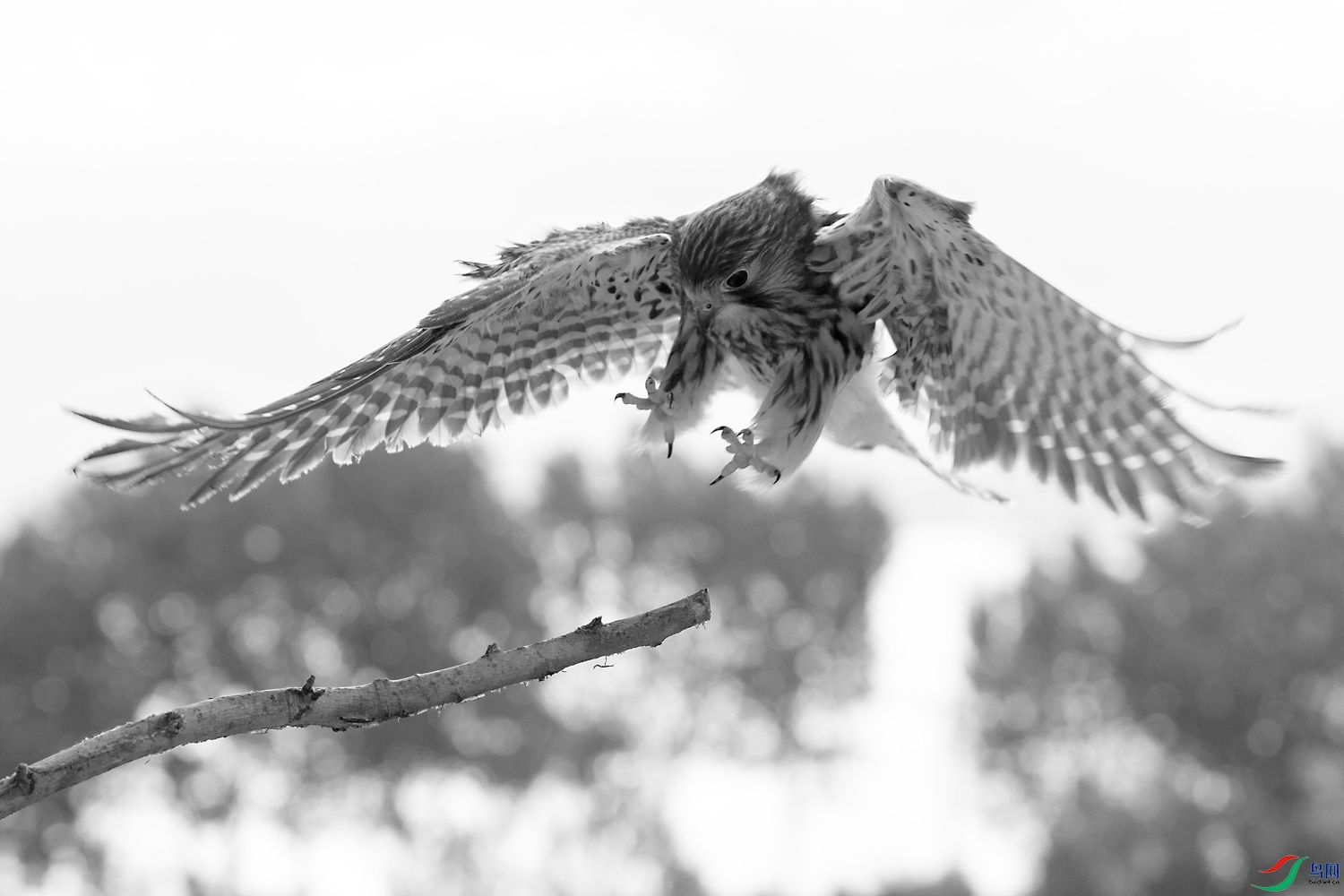 1N5A7763 ����.jpg