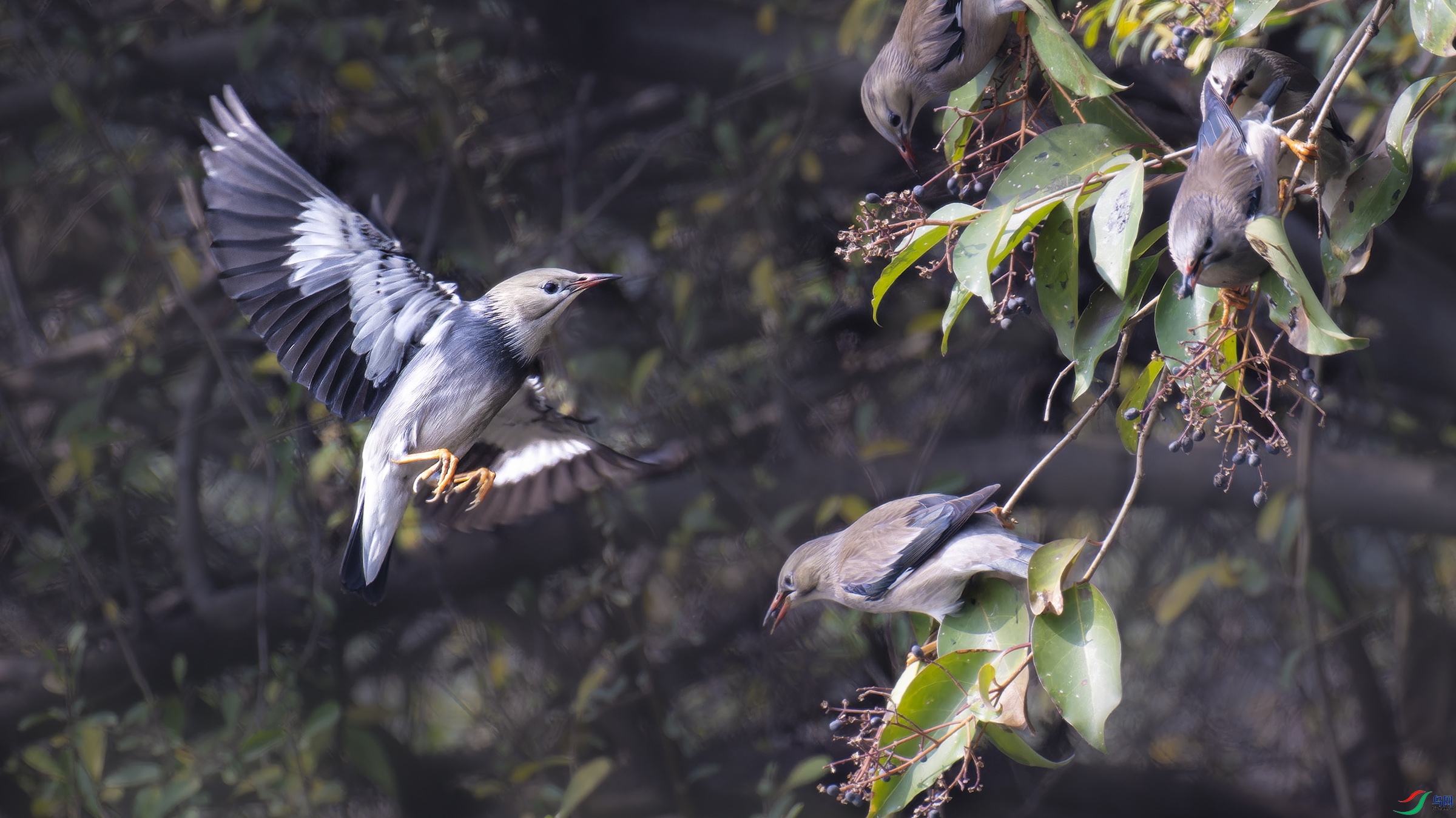DSC_0737_DxO.jpg