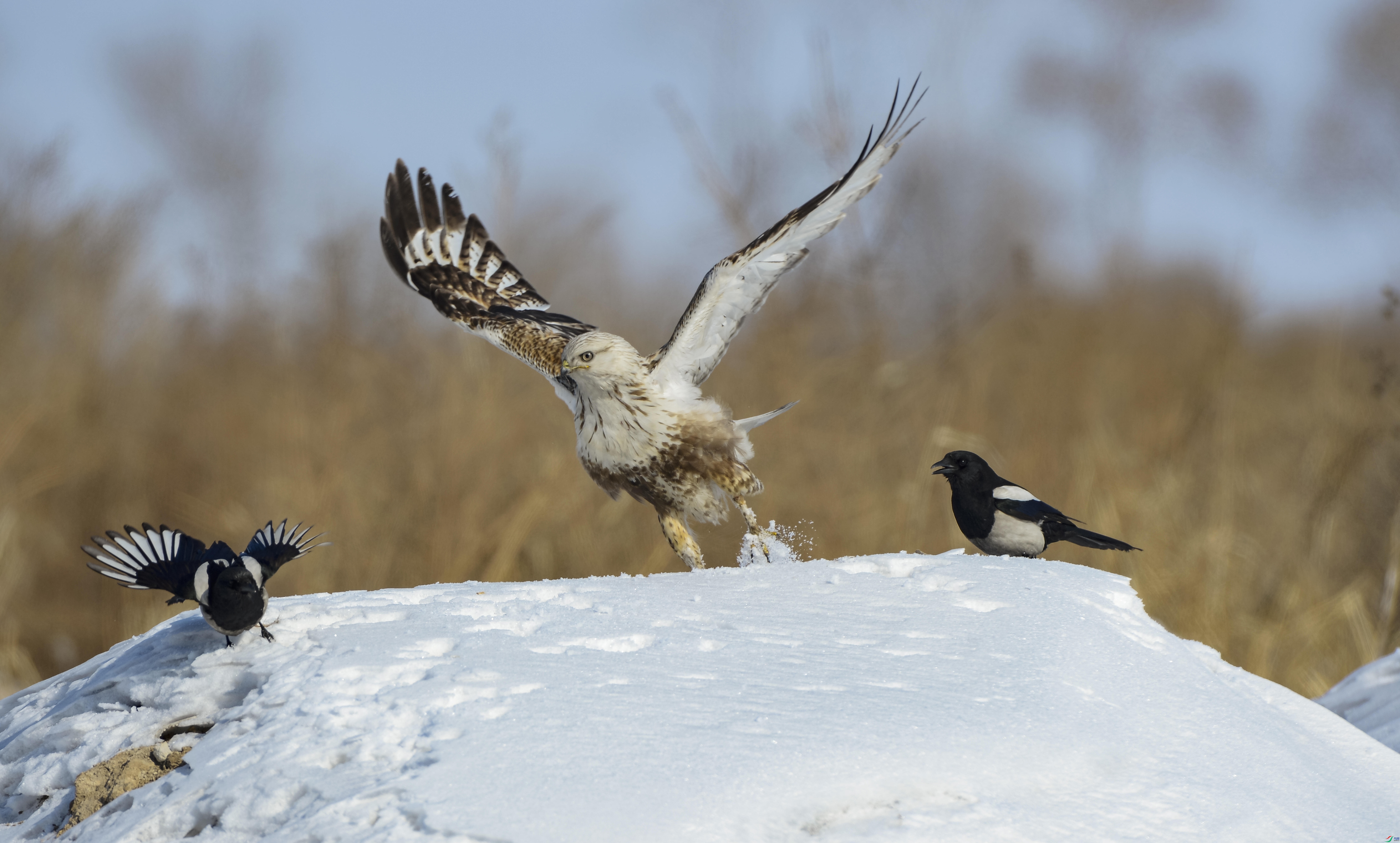 _W015039 ����_����.jpg