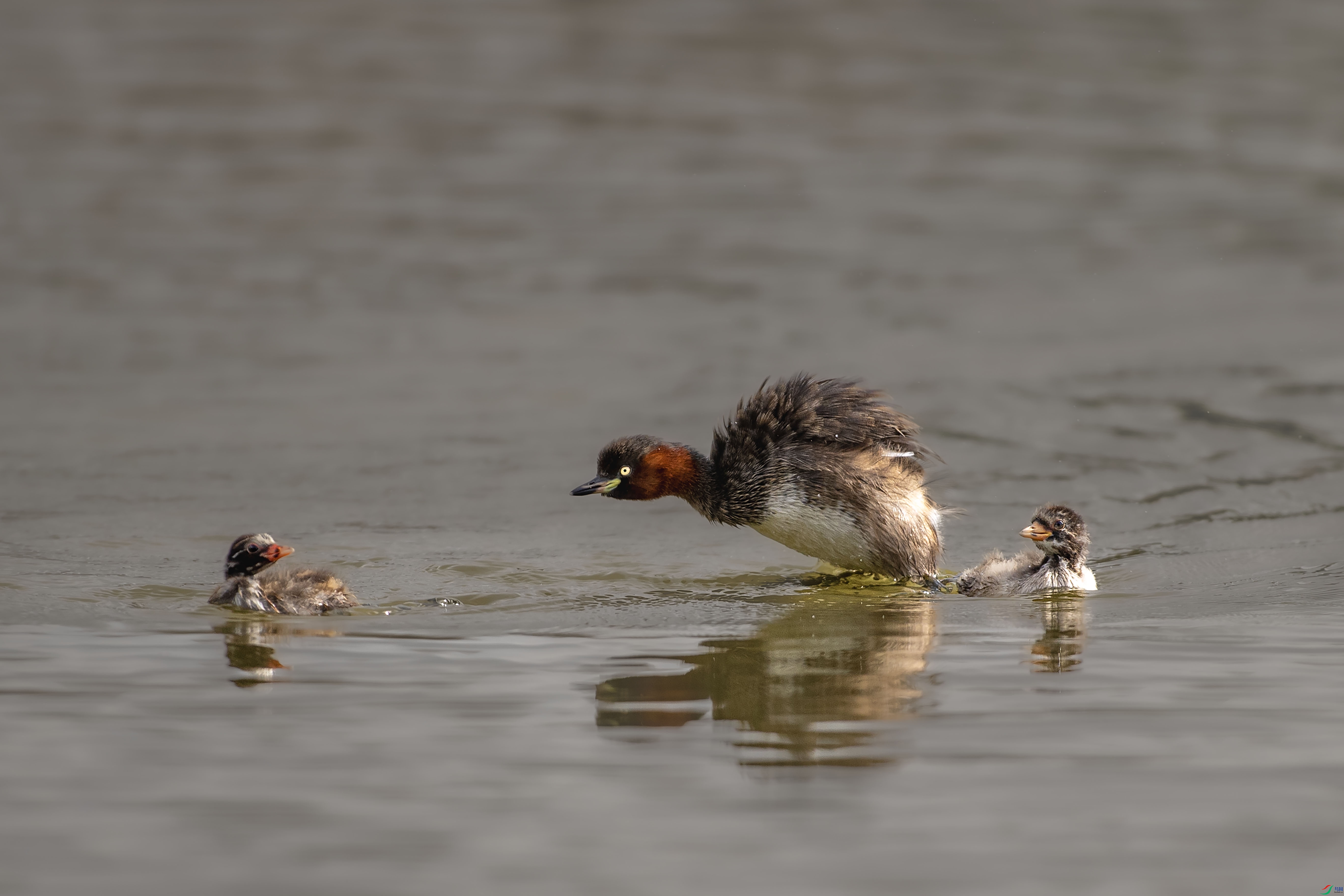 A97I0132 ����.jpg