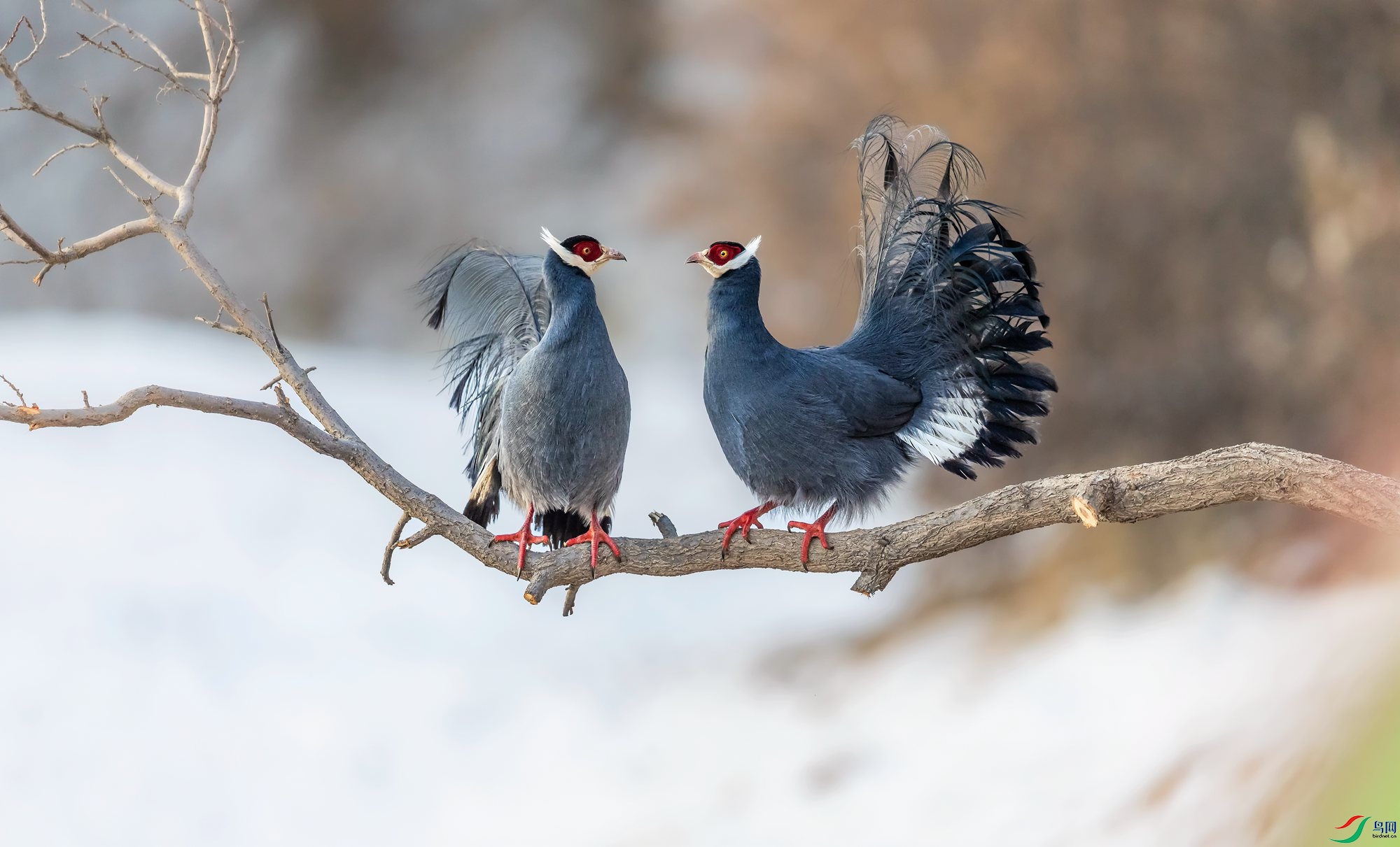 1Q5A1846-1_����.jpg