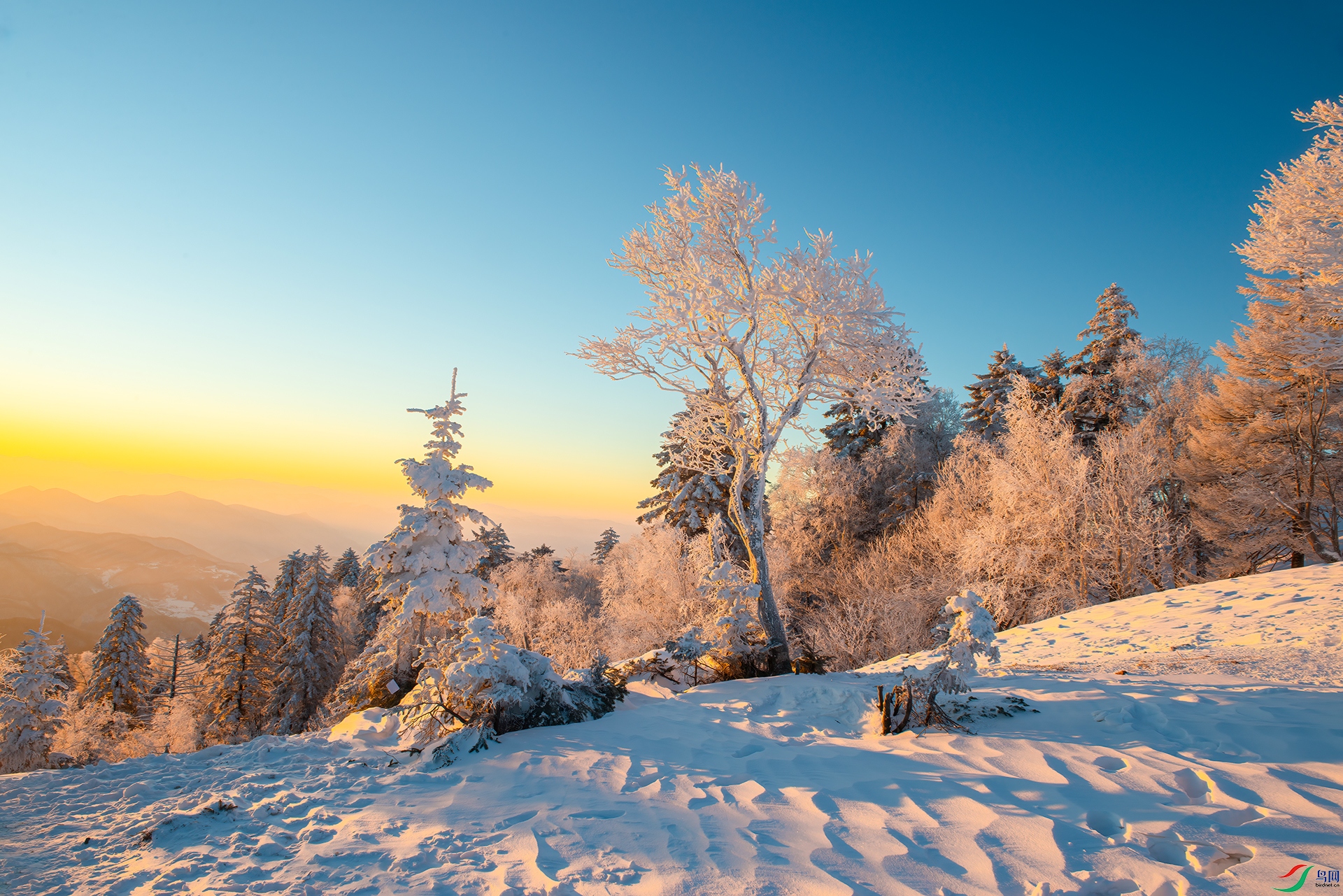 _DSC3688- ѩ��.jpg