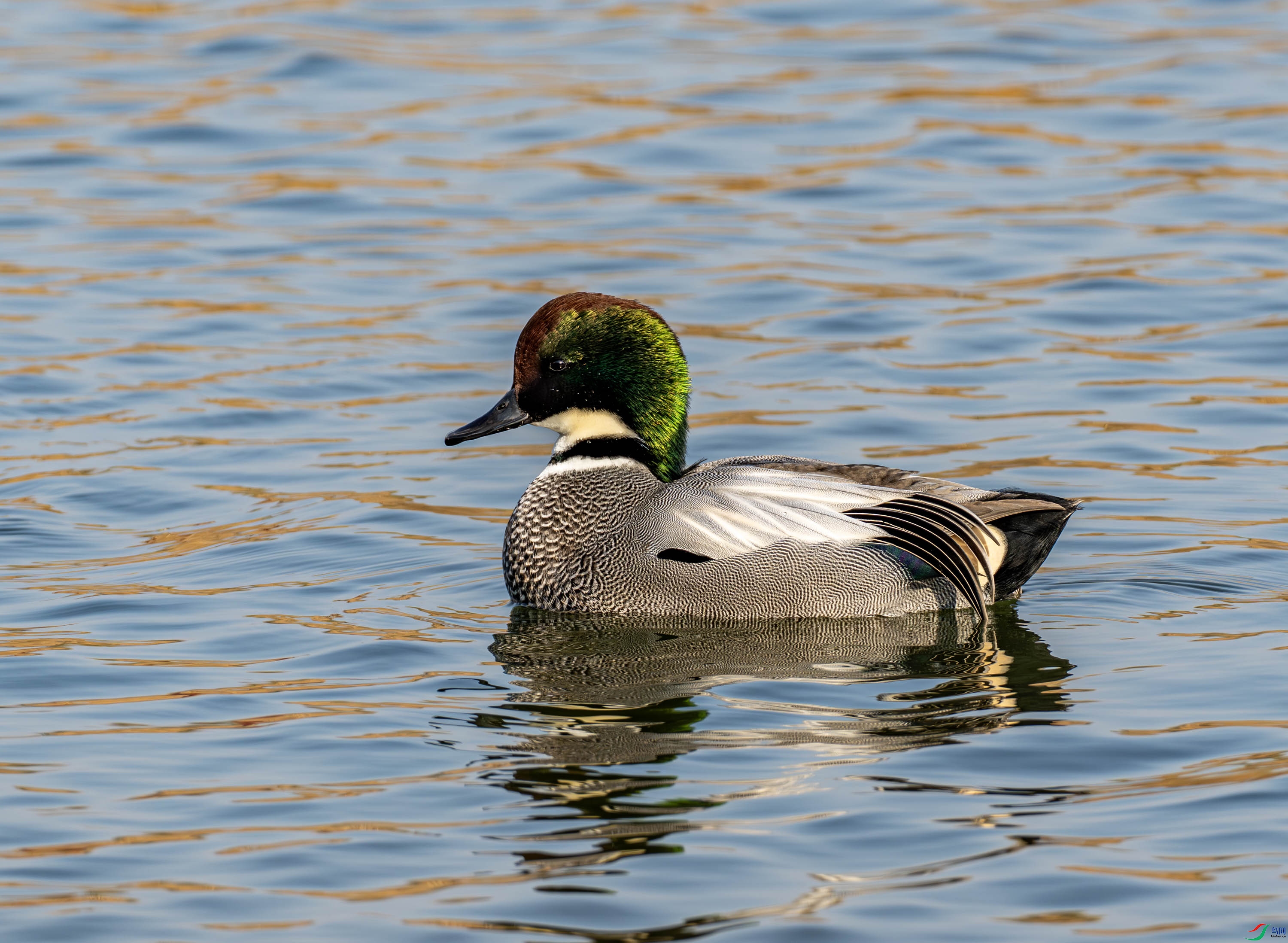 ����Ѽ-01-1 (10).jpg