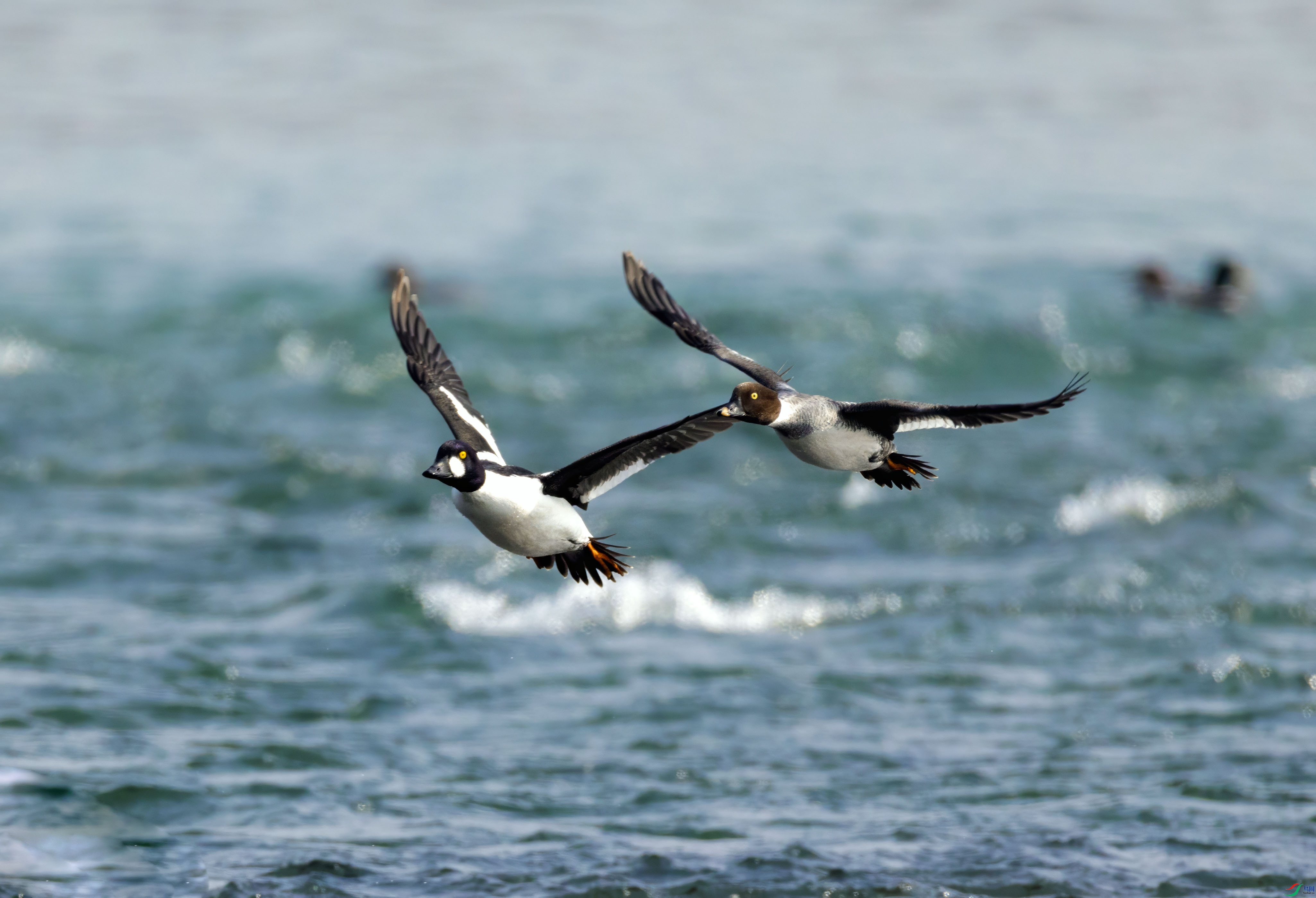 5N9A9278 ���� 2.jpg