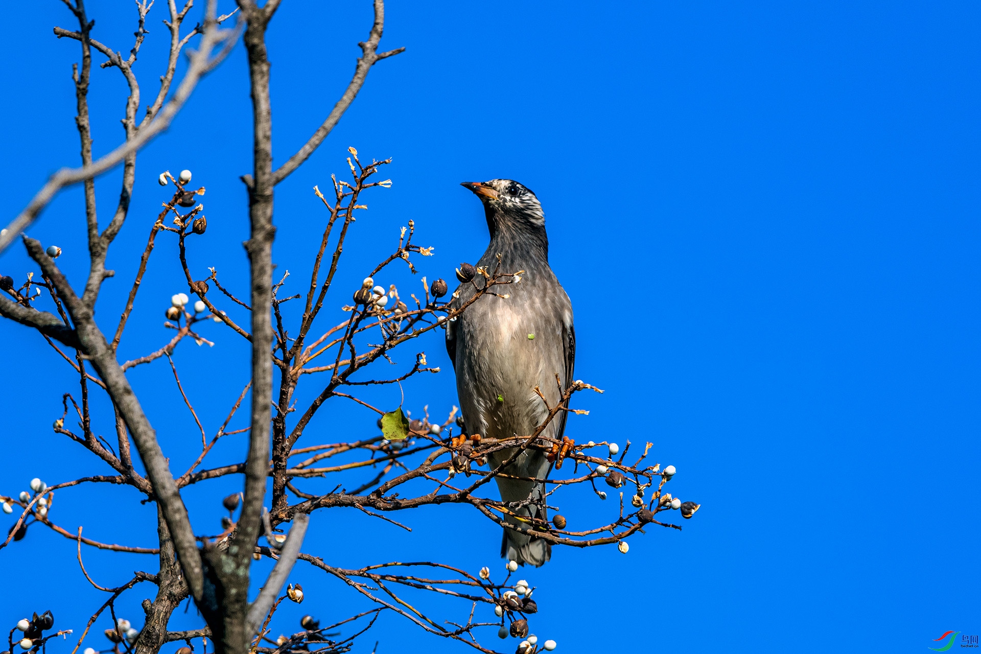 _AUU0993 �����(25.11.25).jpg