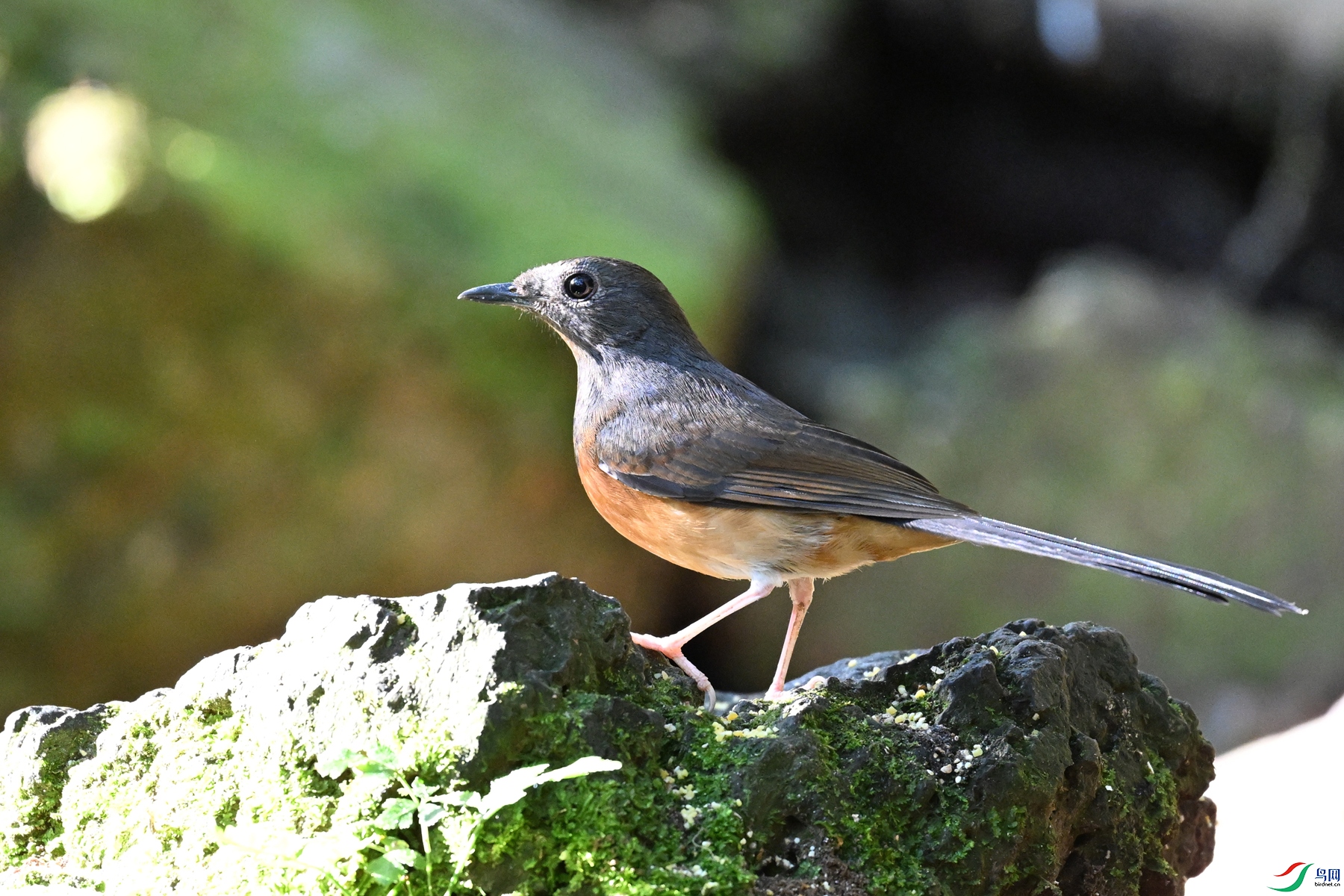 DSC_6434.JPG
