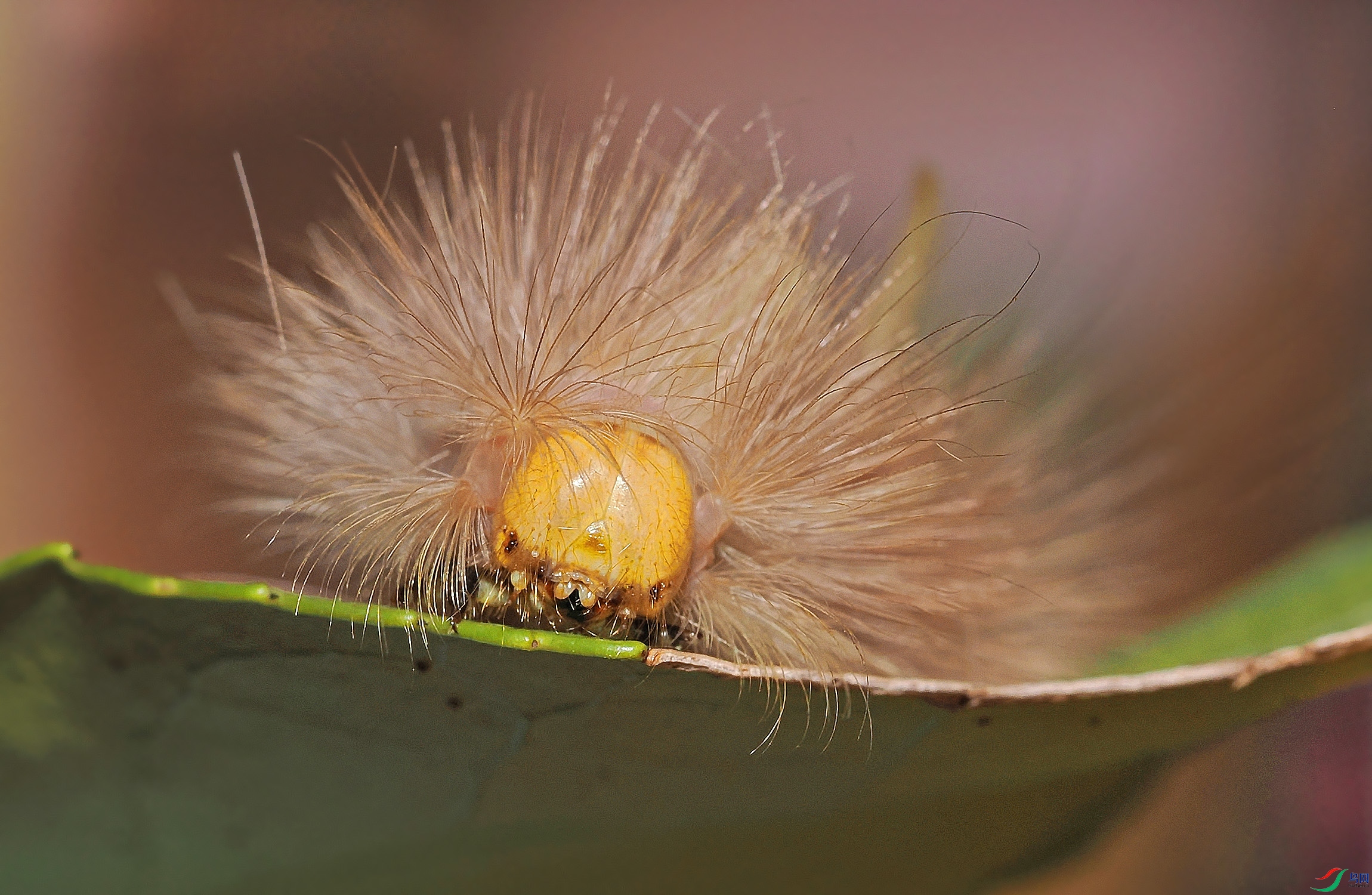 PA070010 ����.jpg