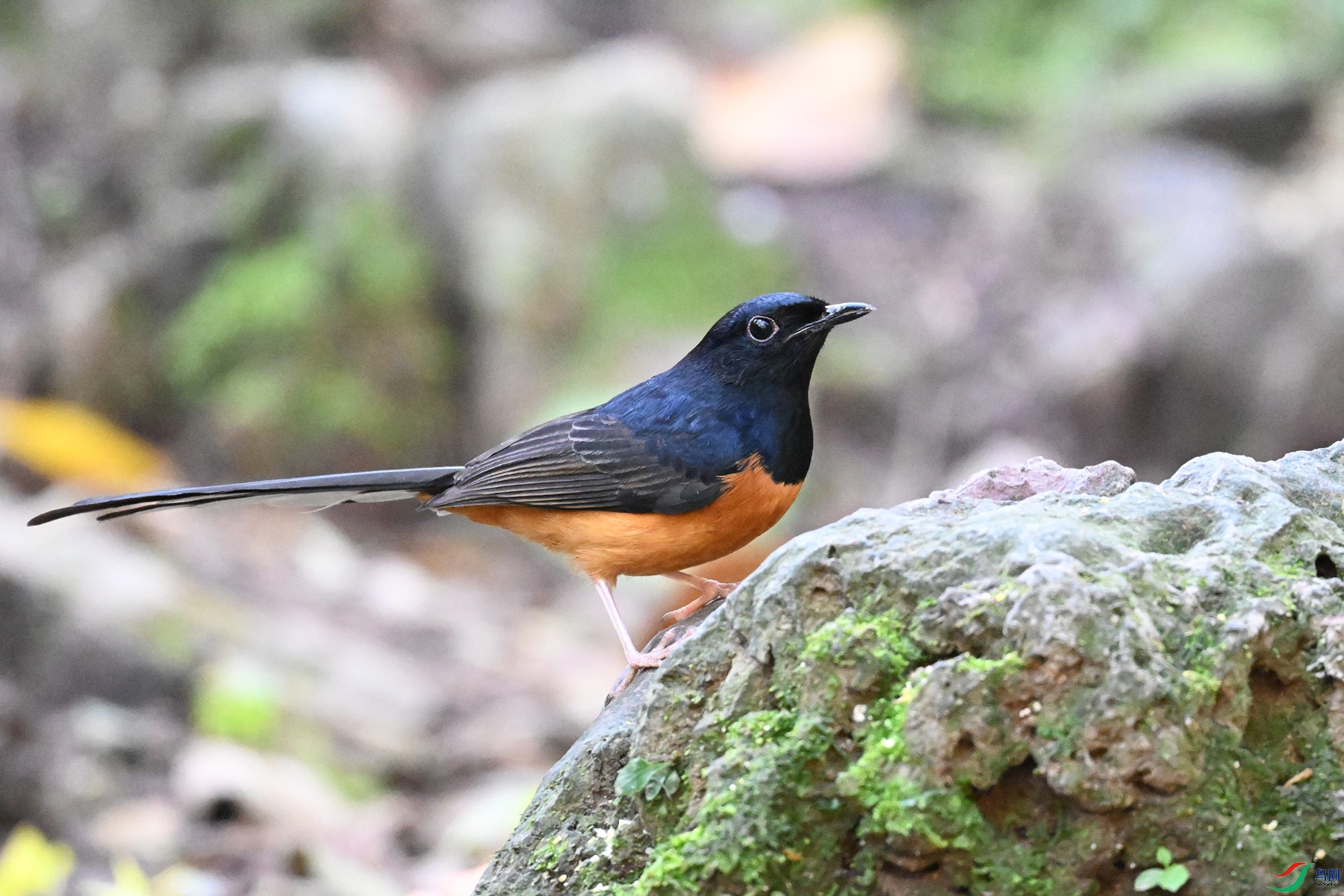 DSC_6394.JPG