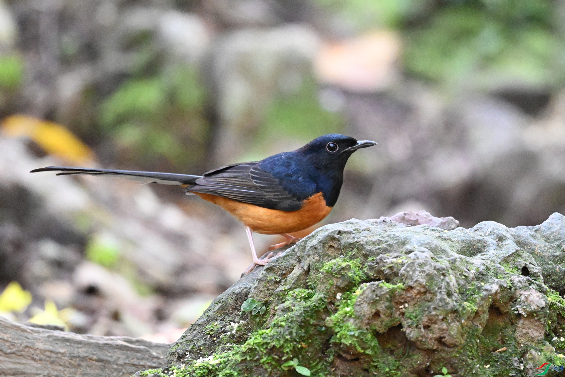 DSC_6395.JPG