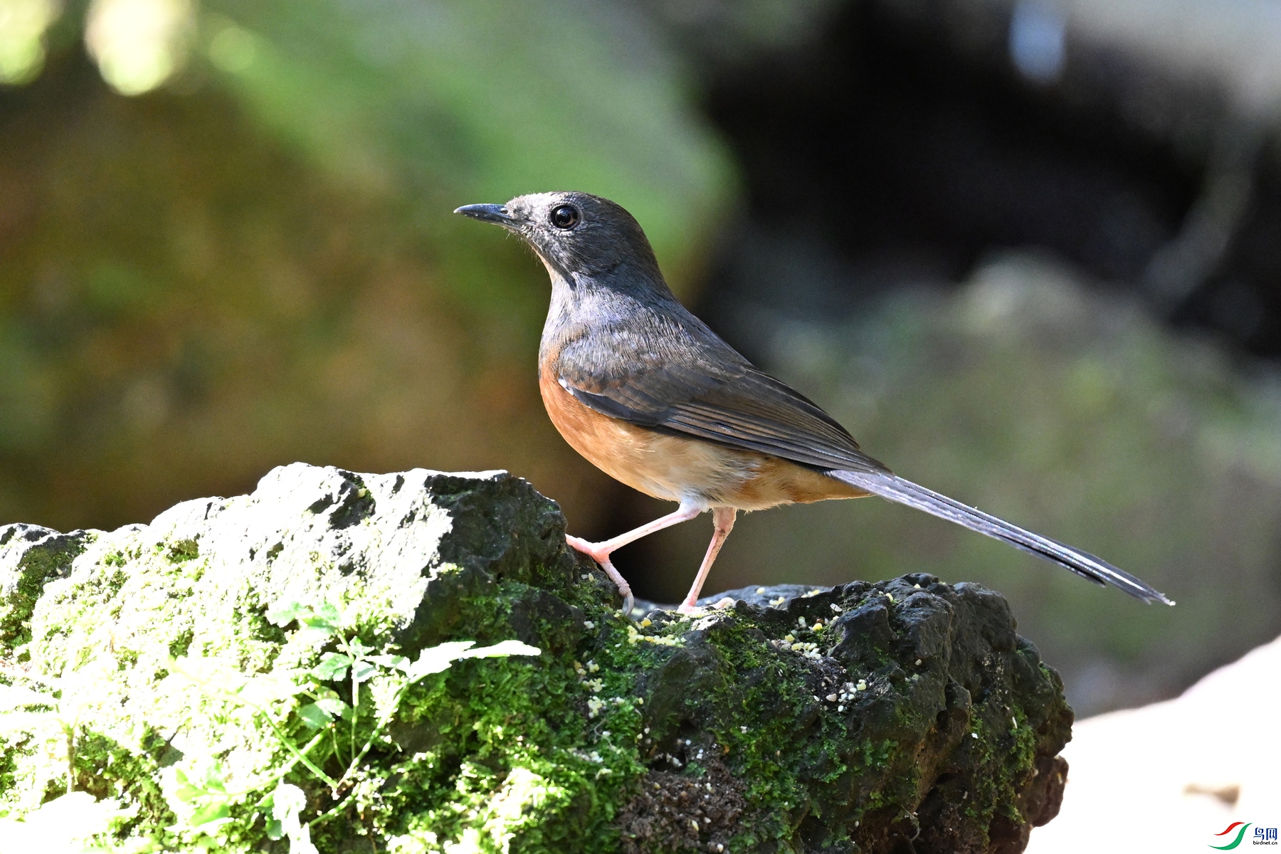 DSC_6435.JPG
