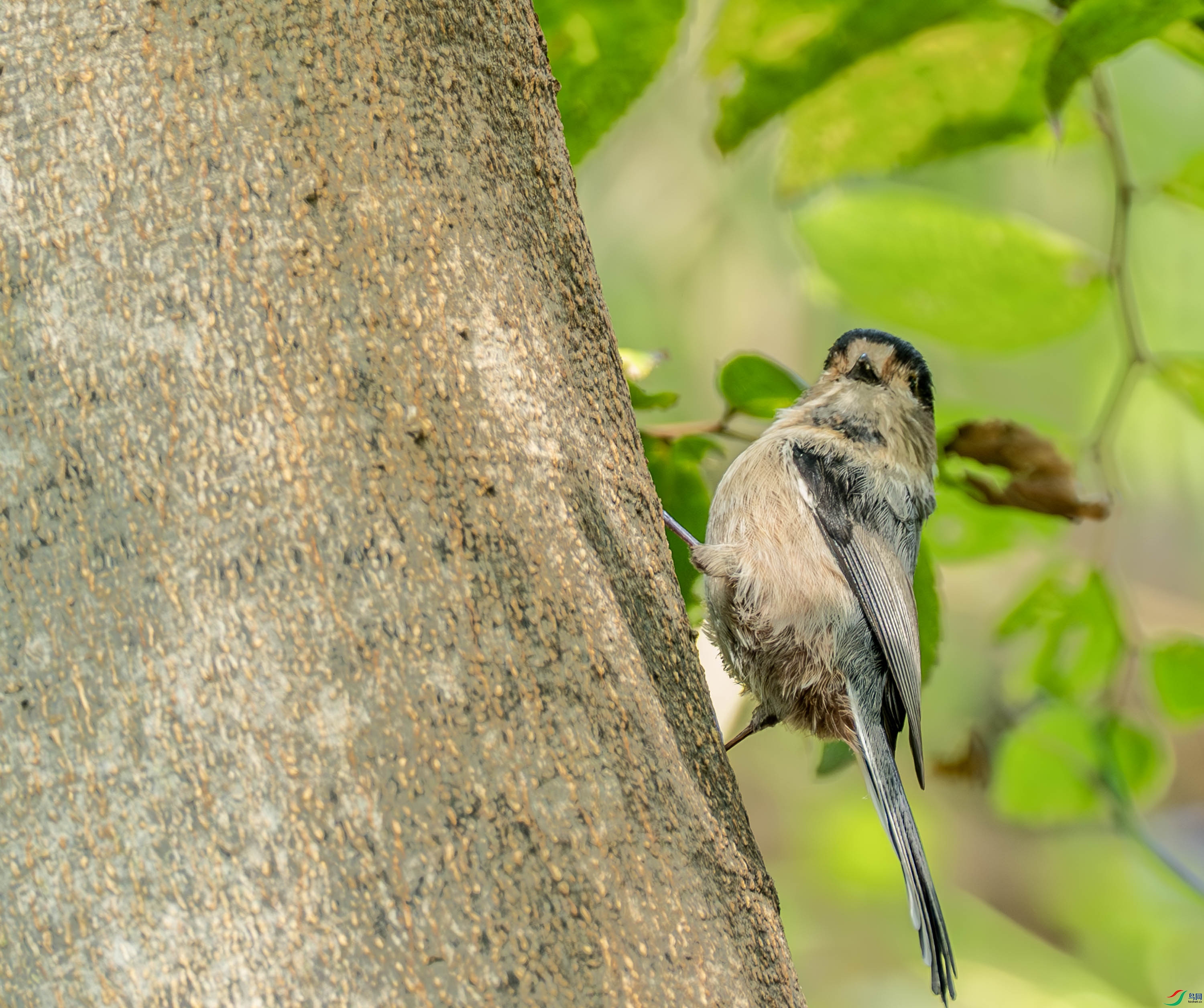 ������βɽȸ -1-30.jpg