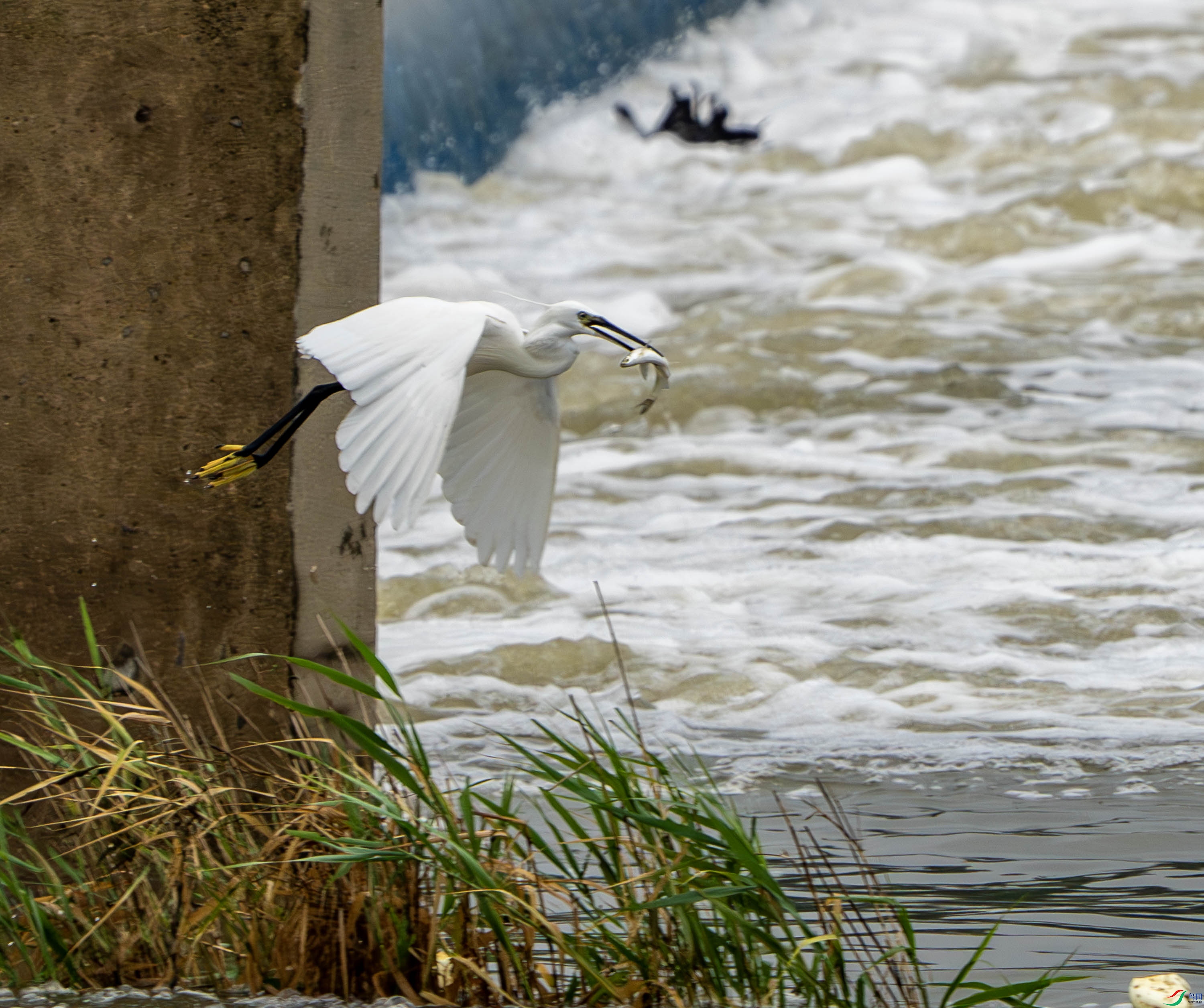 ����-16.jpg