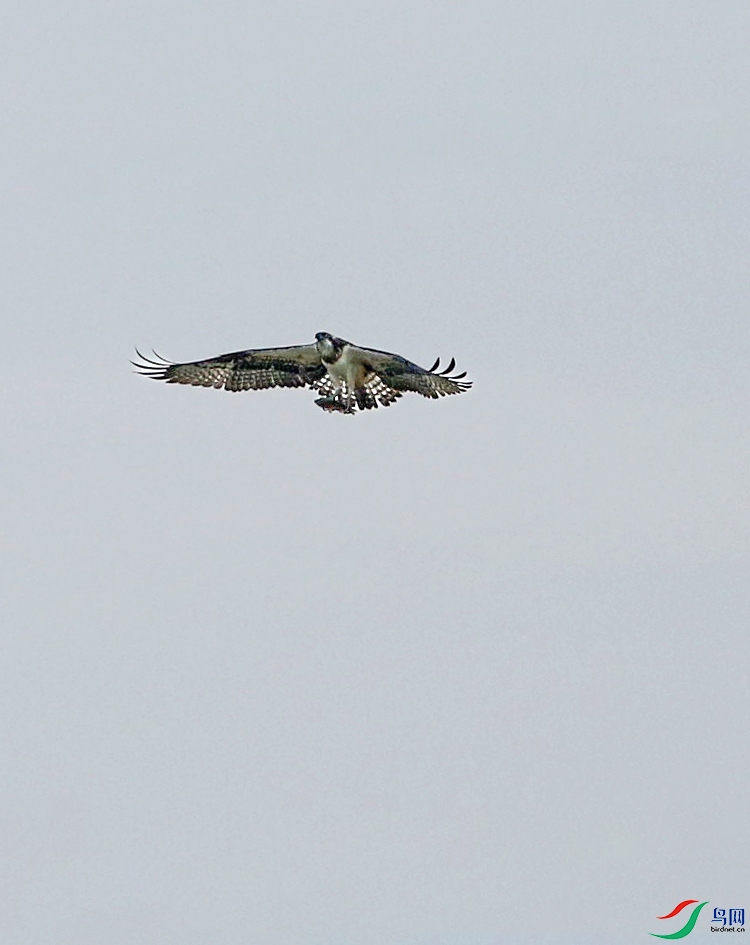 673A0210 ����.jpg