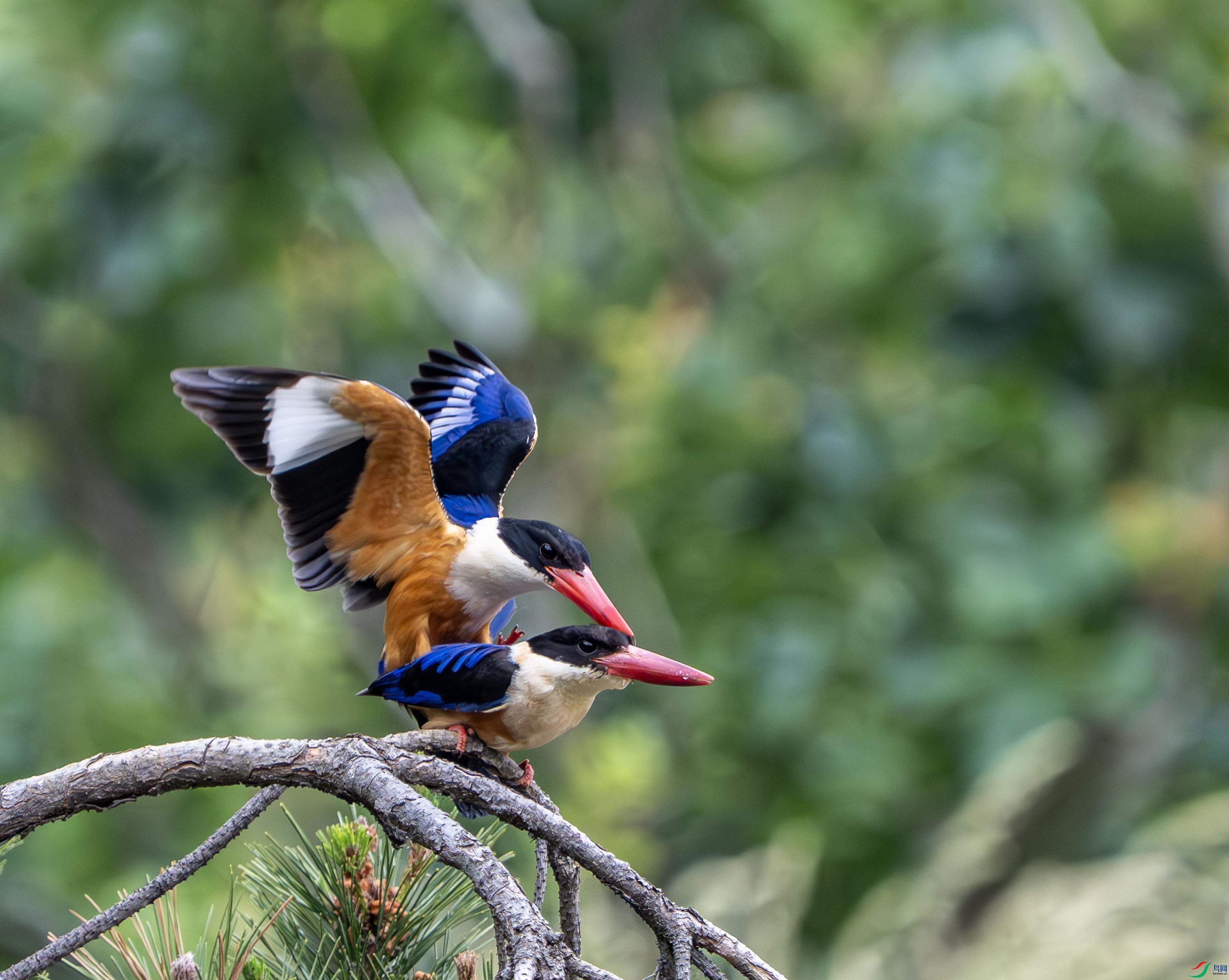 �����-23 (28).jpg