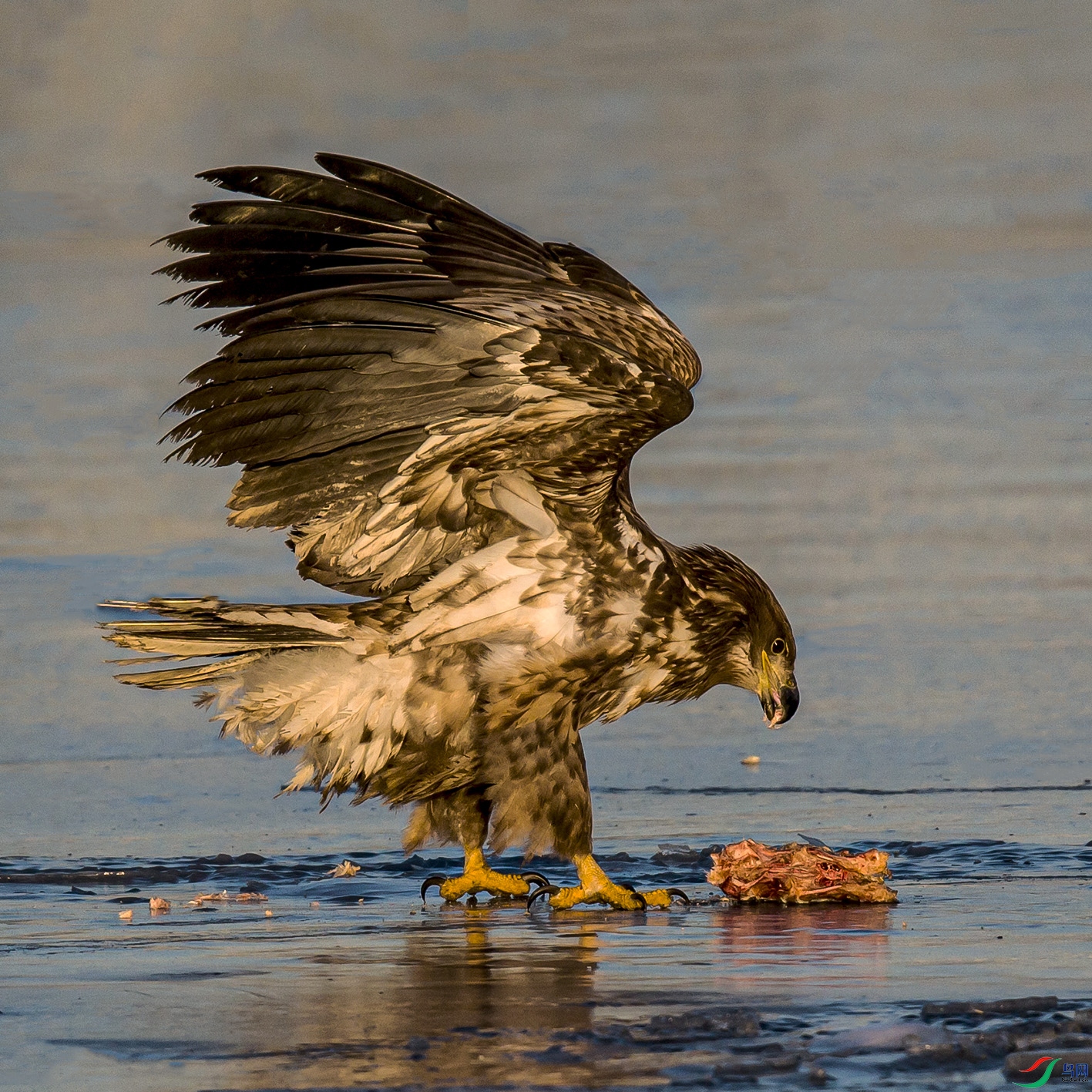 _MG_1526 ����.jpg