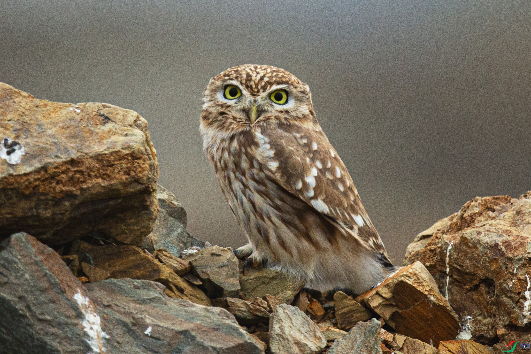 _MG_0002 ����.jpg