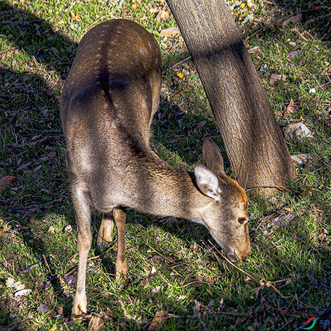 _MG_4501 ���� 2.jpg