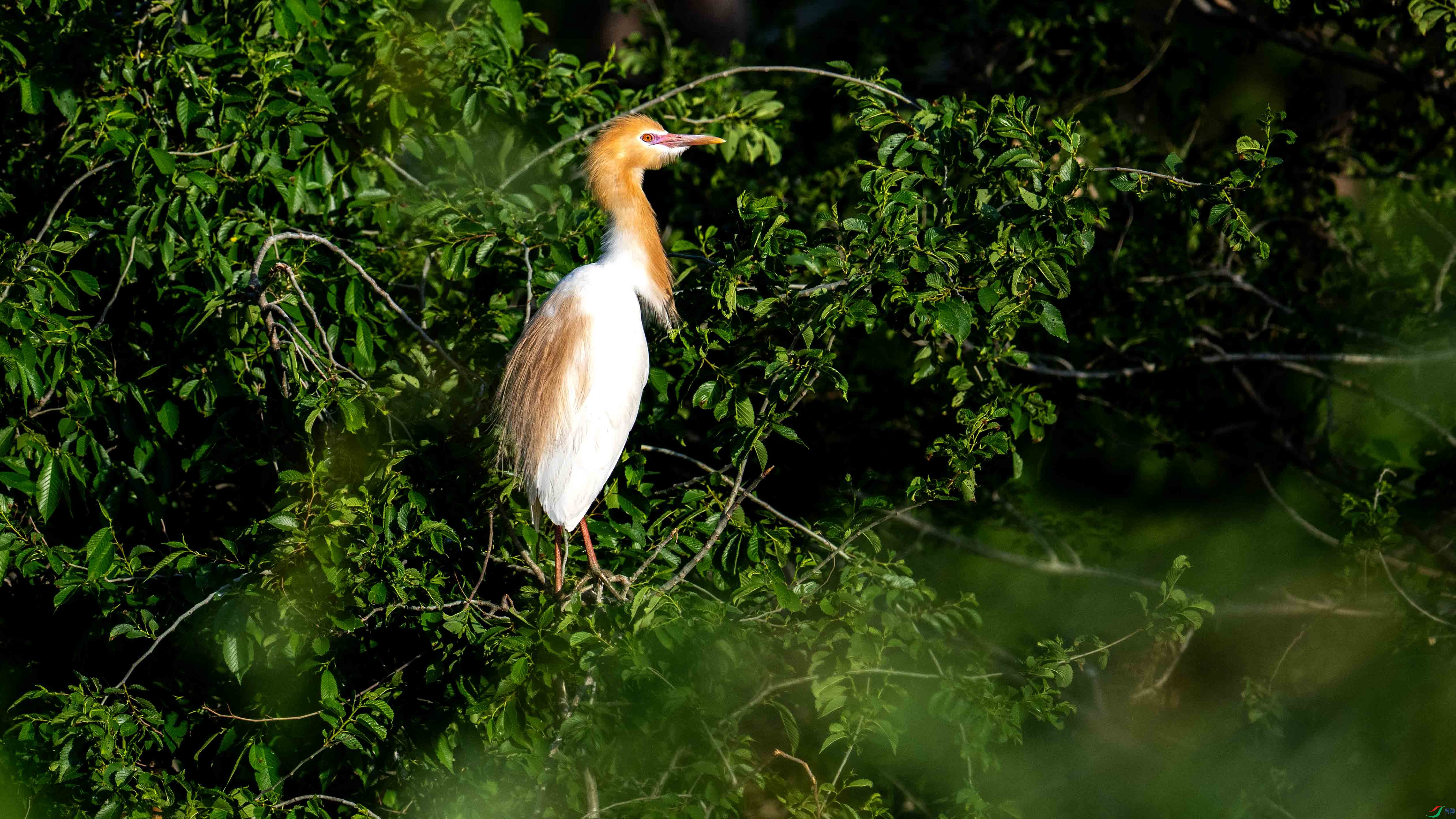 DSC_0154.jpg