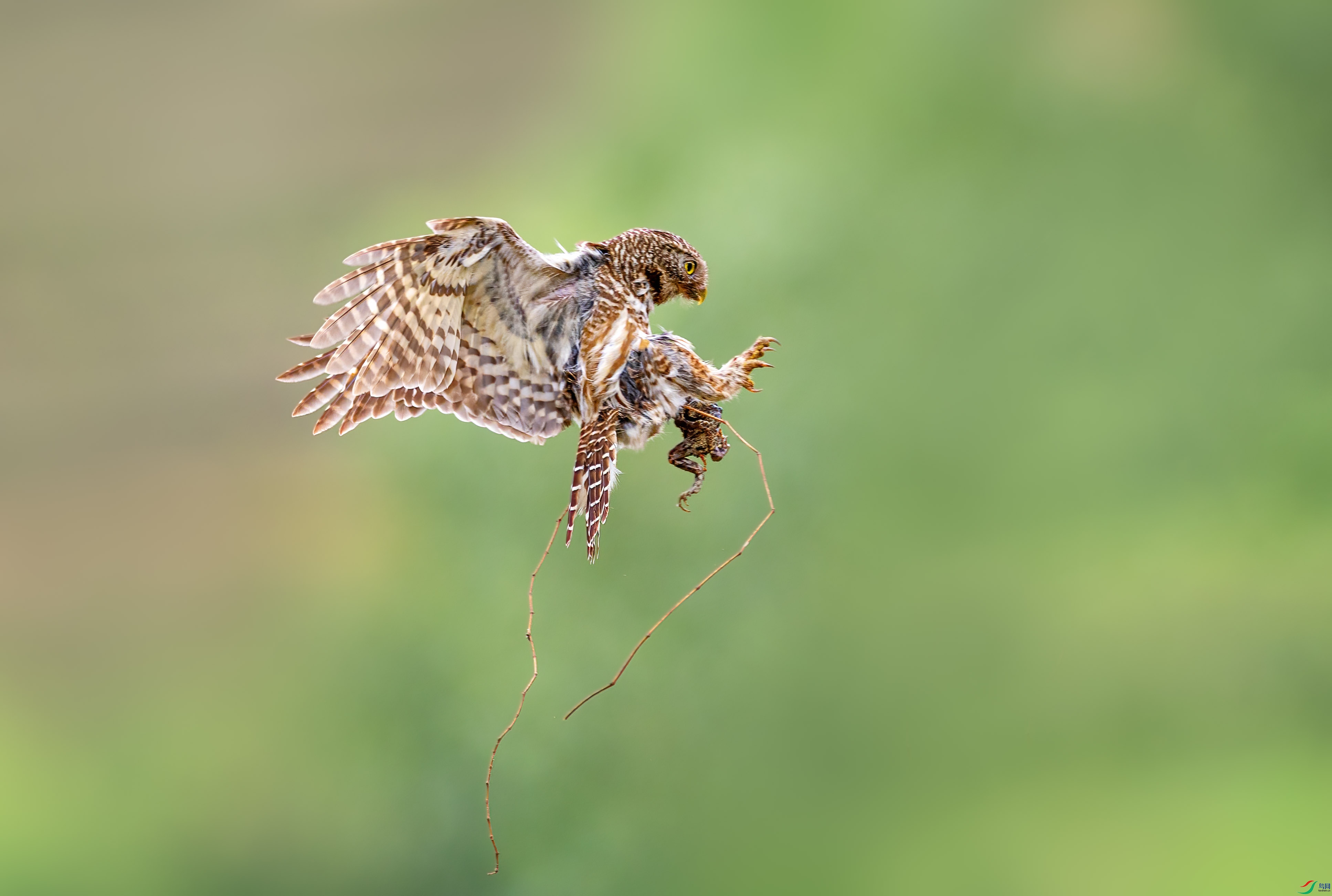 0G6A7757-��.jpg