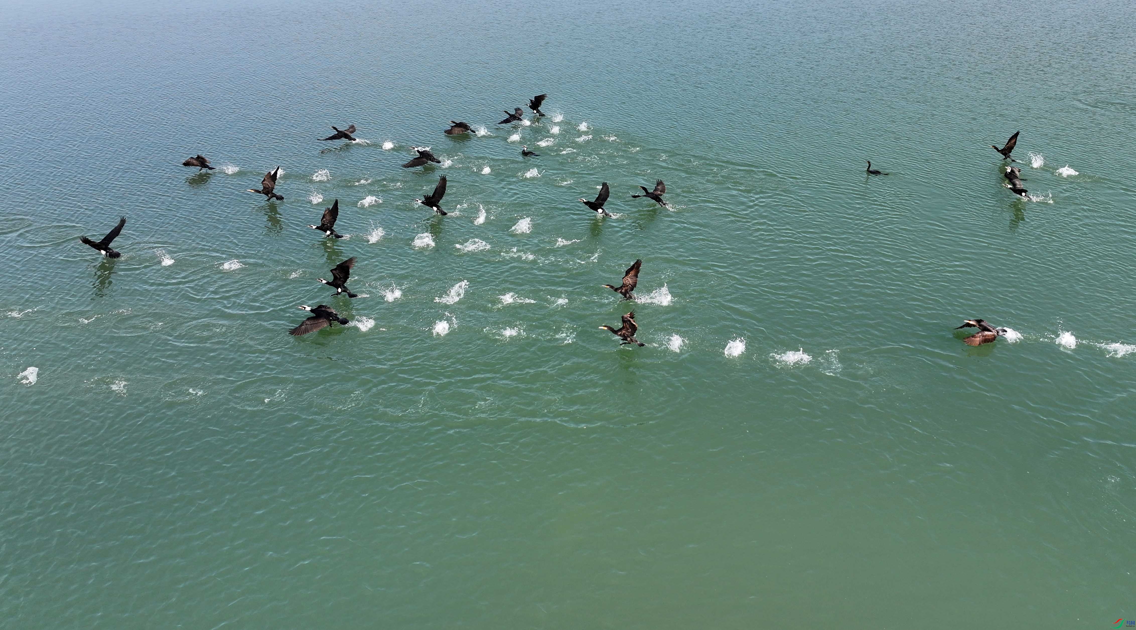 DJI_20250329062134_0107_D.JPG