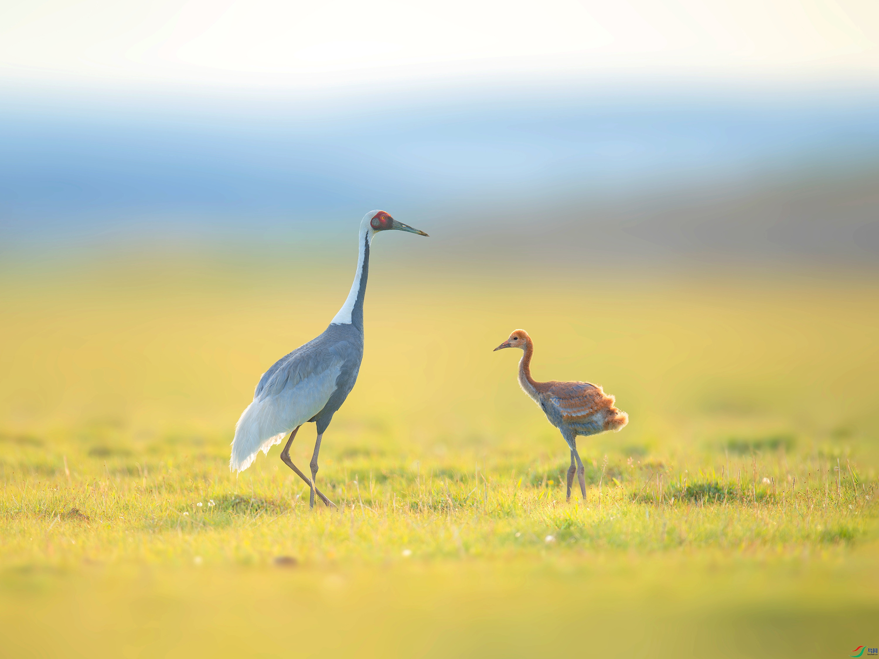 ������  (7).jpg