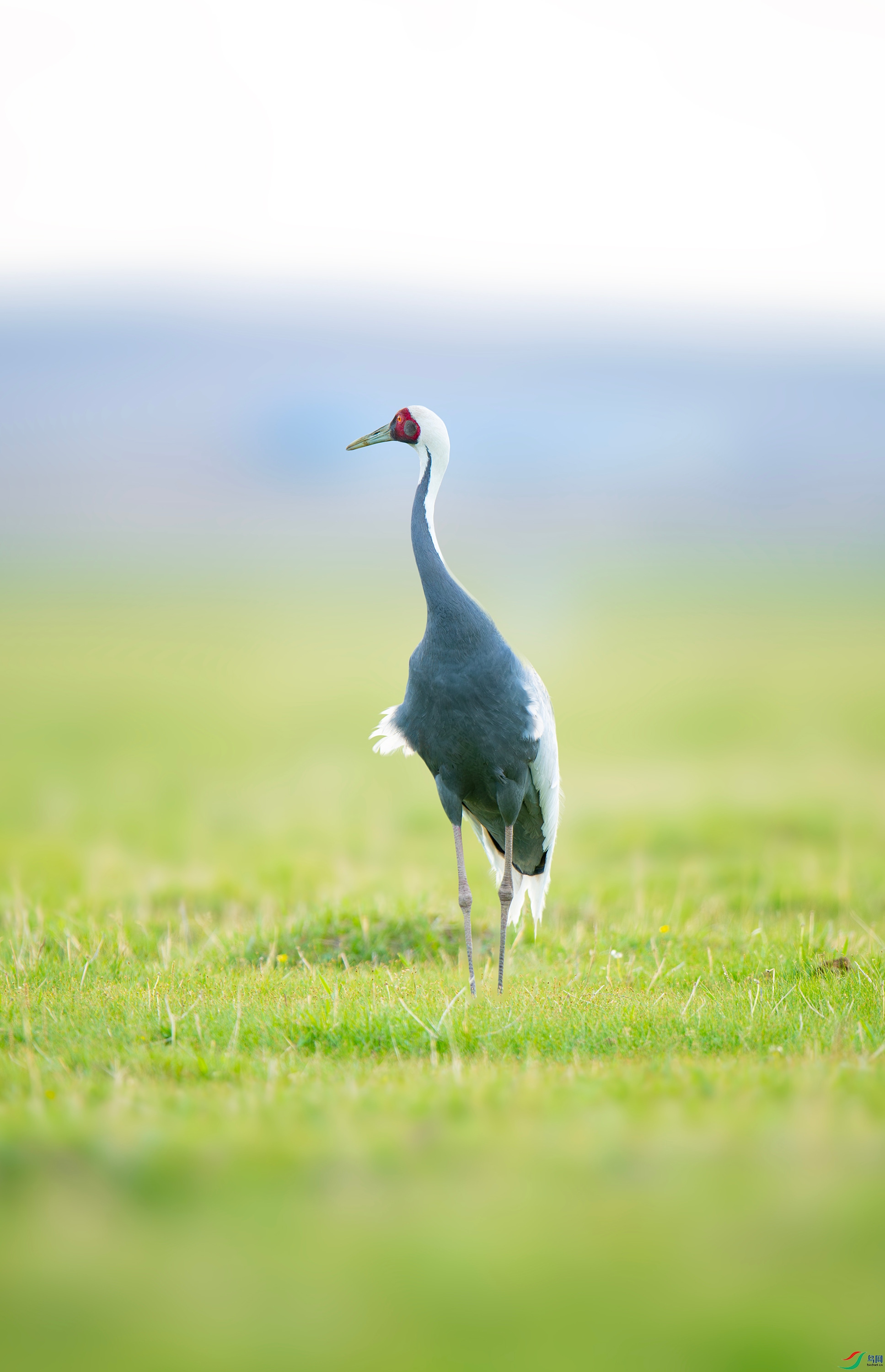 ������  (10).jpg