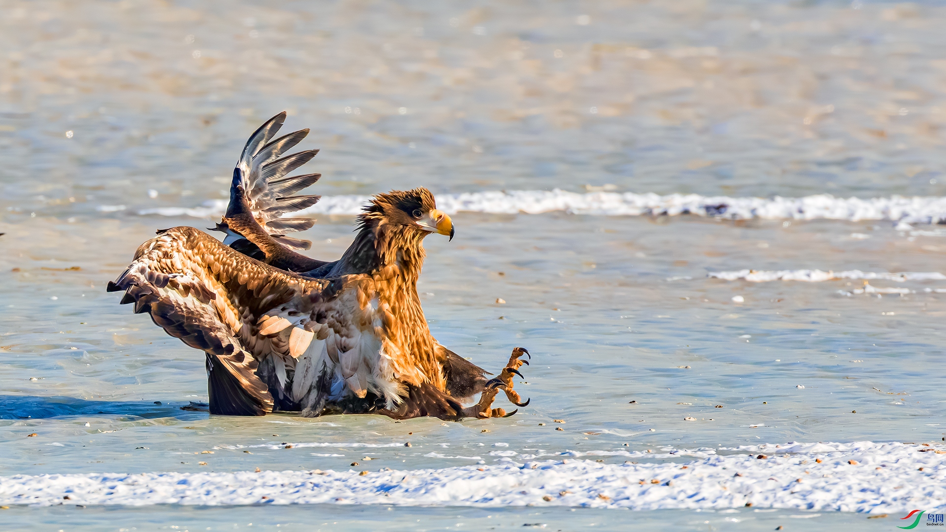 398A8288 ����.jpg