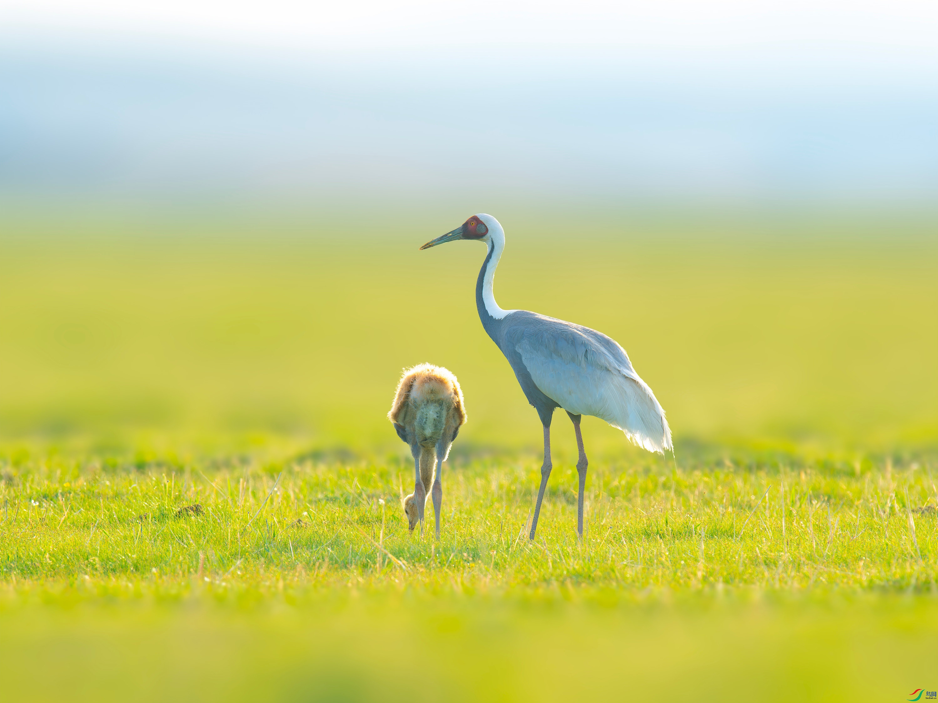 ������  (16).jpg