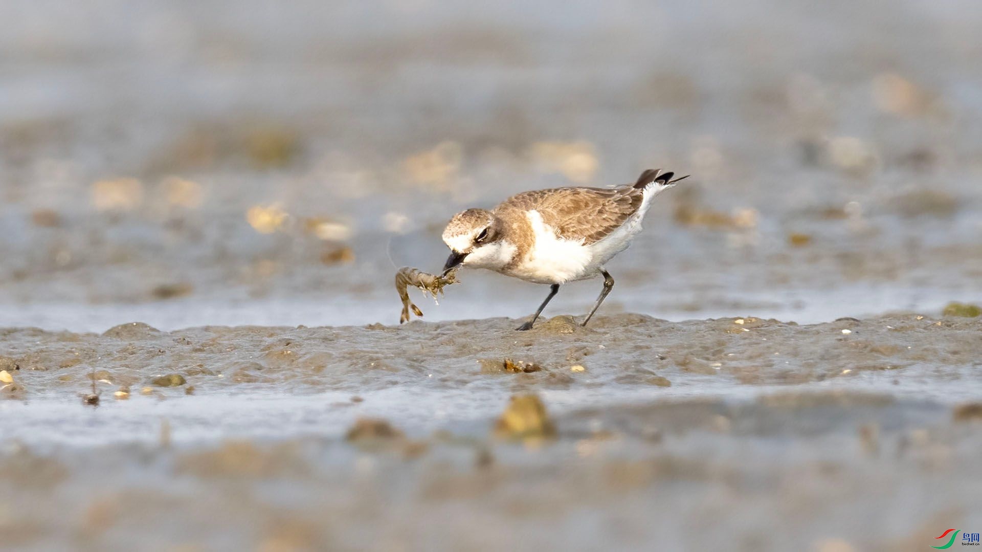 _DSC7578 ����.jpg