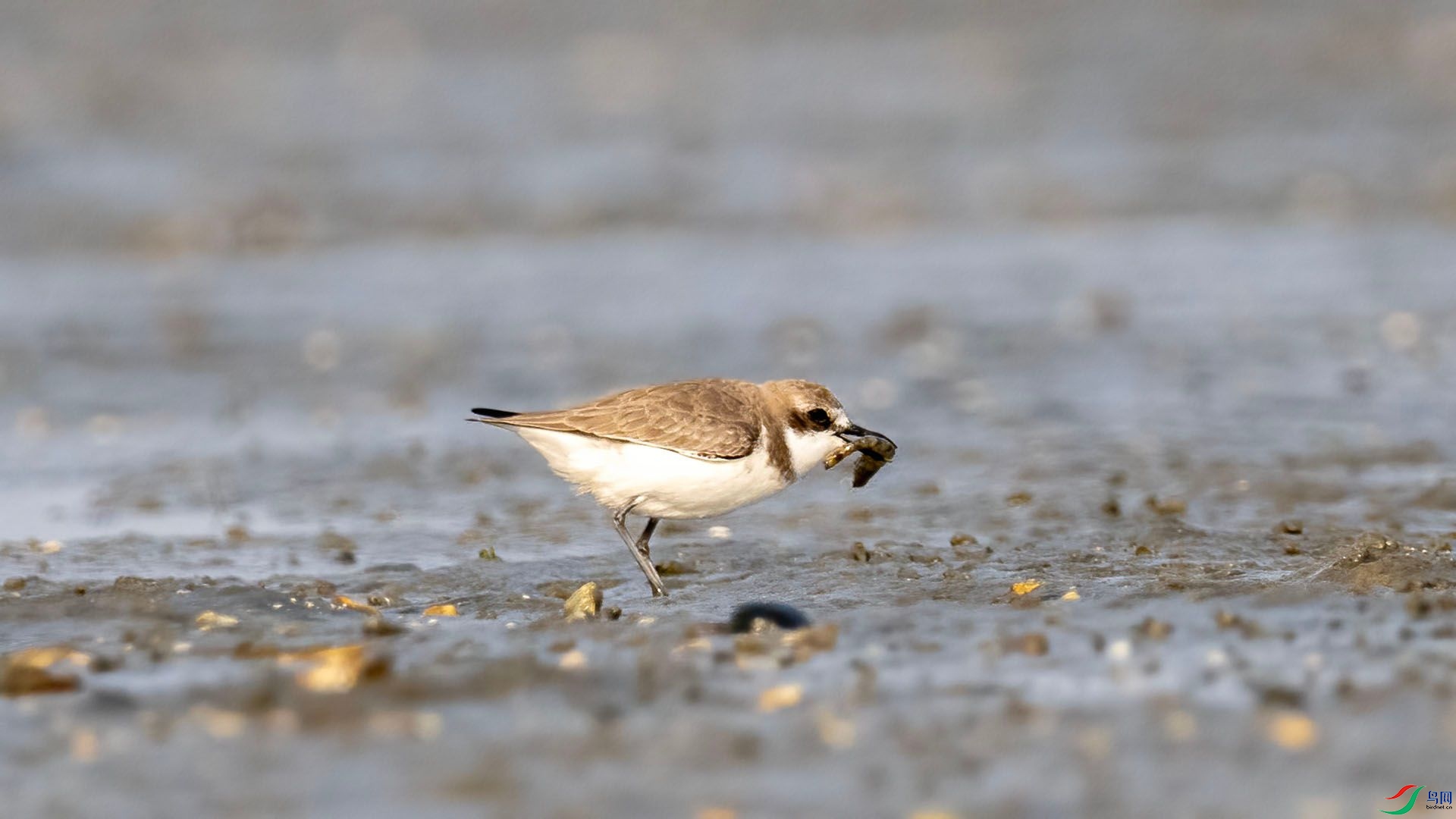 _DSC7609 ����.jpg