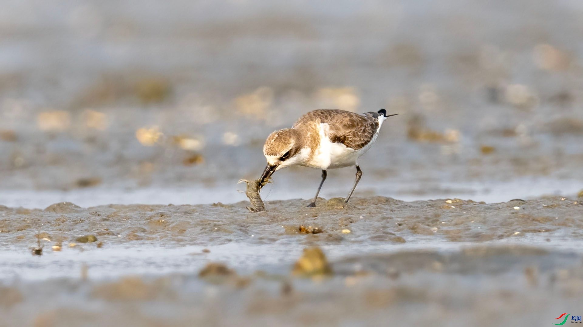 _DSC7581 ����.jpg