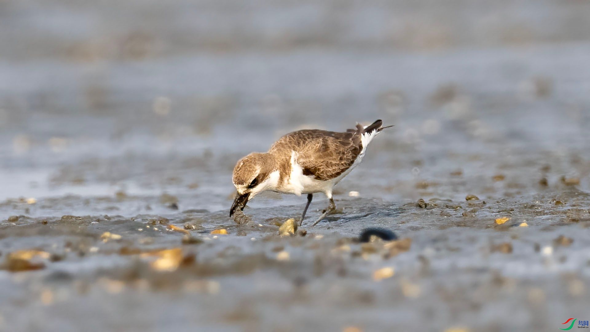 _DSC7615 ����.jpg