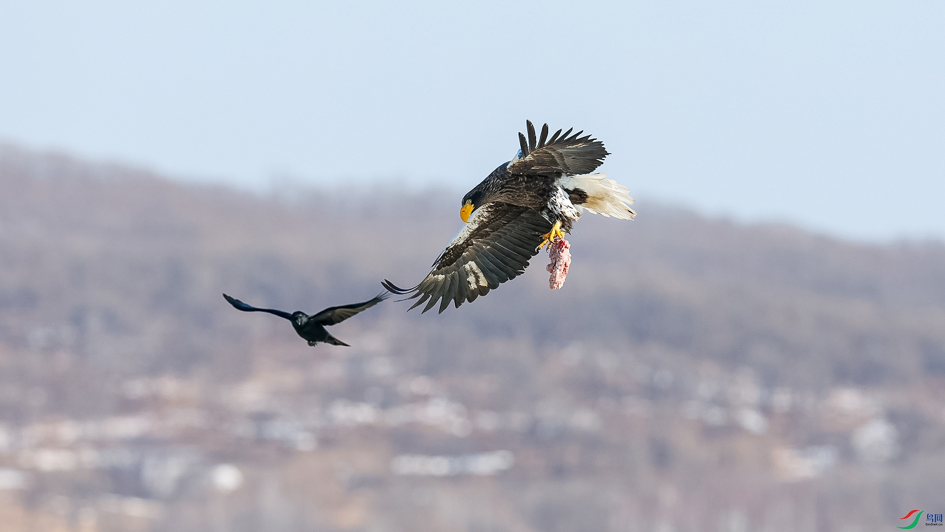 �������������� ��ƽ���� Яʳ���.jpg