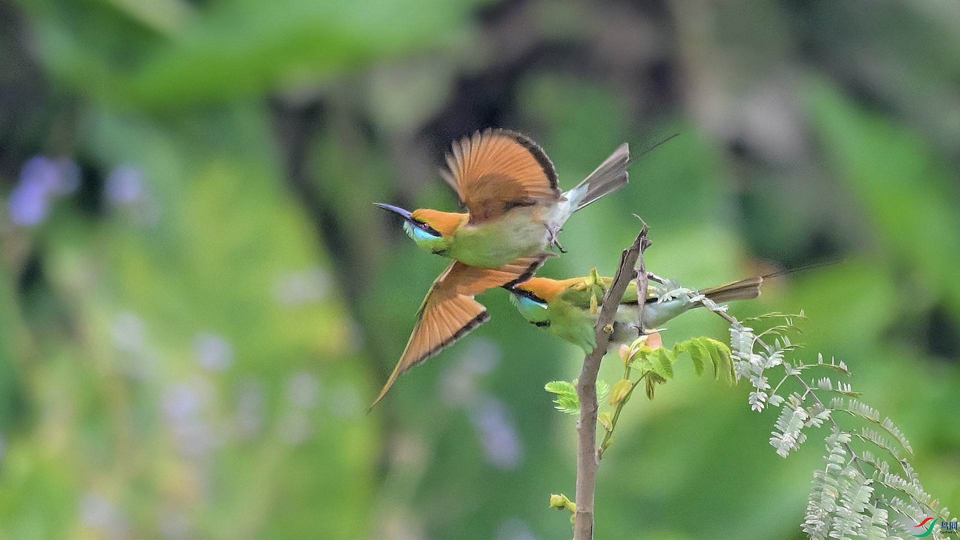 DSC_4343 ����.jpg