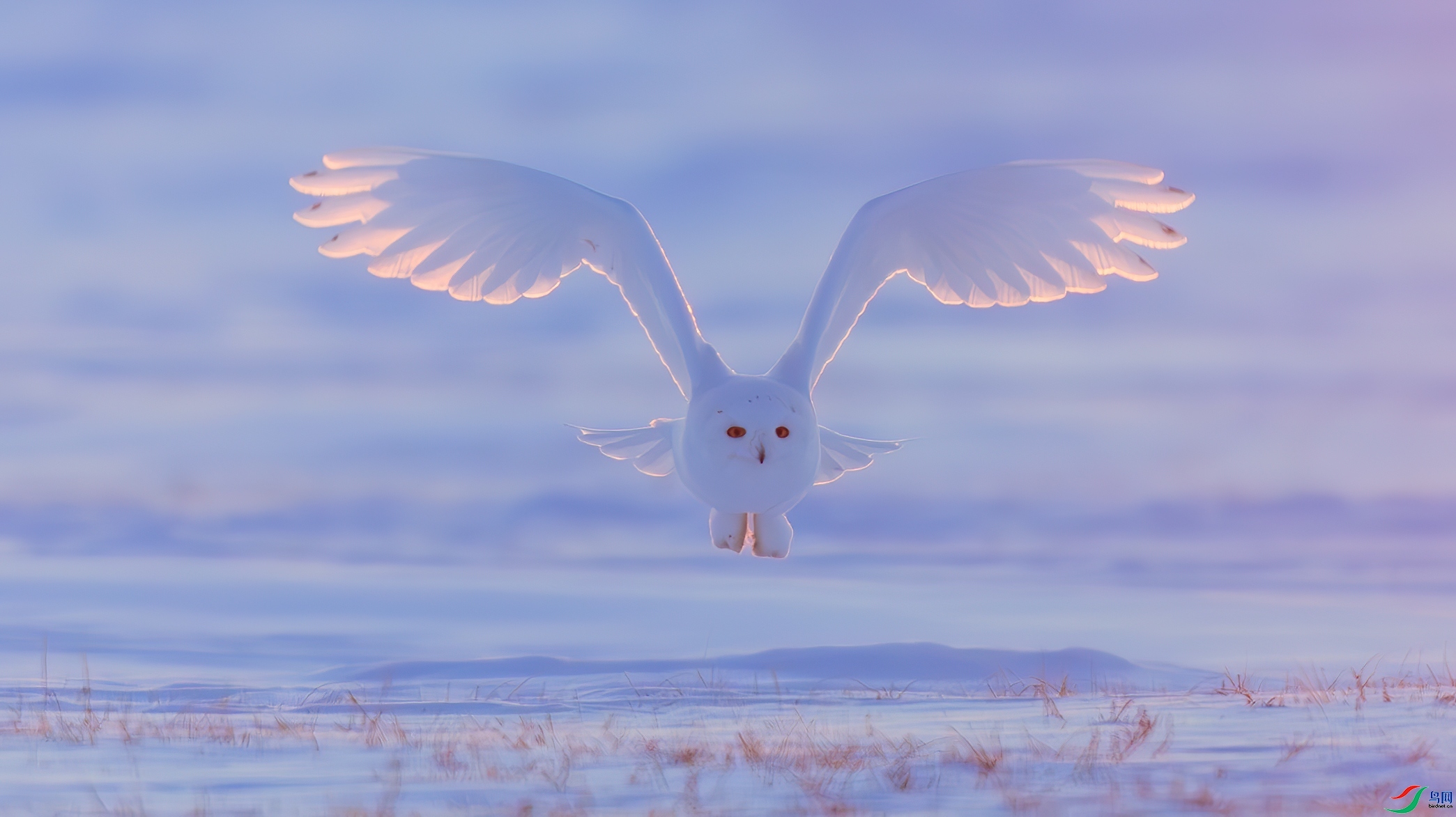 1.28��ɽ��ˮ֮������ʦ��Ʒ   �����ķ���ѡ�� ��ף���ٻ����������.jpg