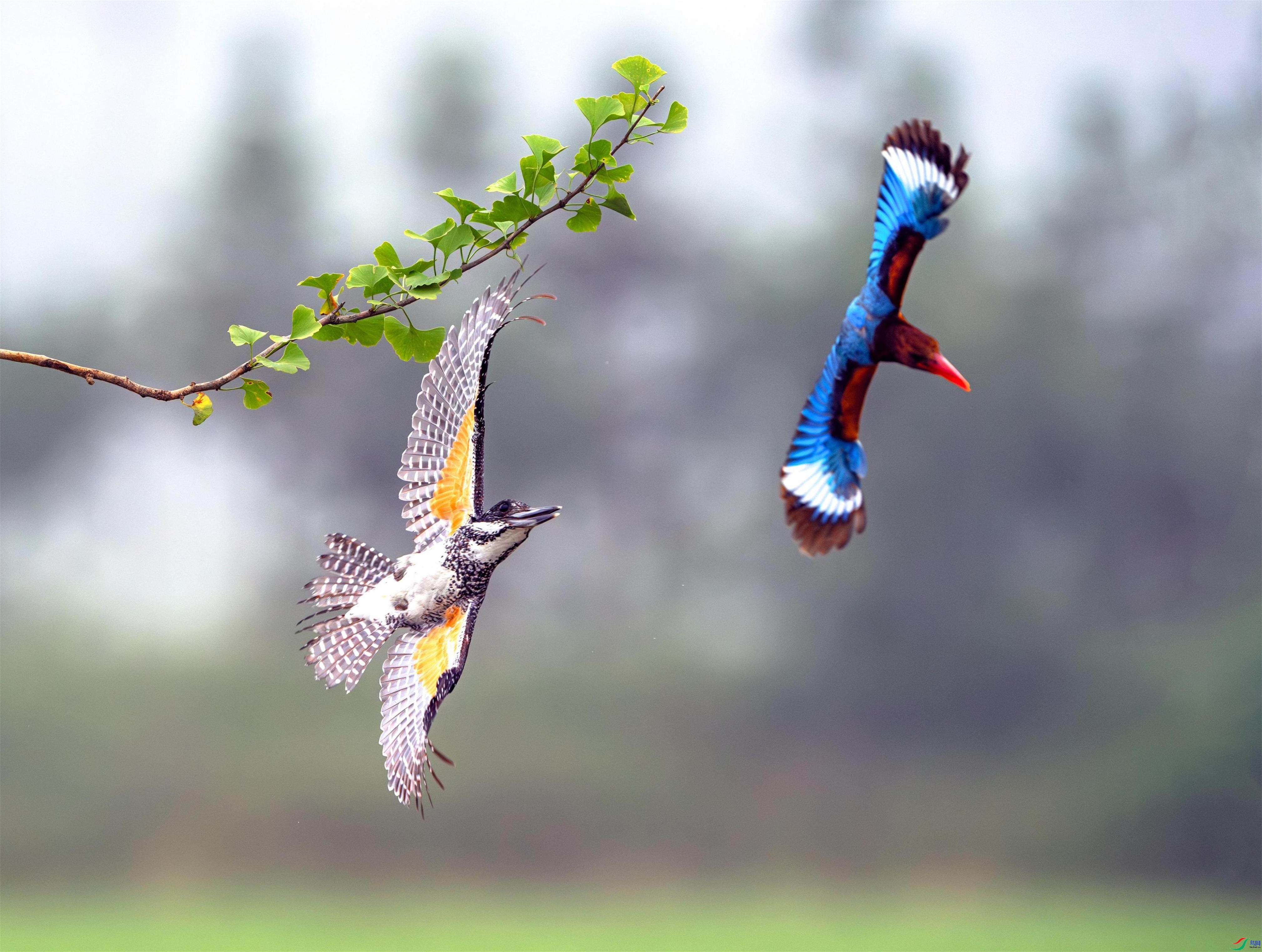 1.30����֣ͯ����ʦ��Ʒ   ������� ��ף���ٻ���Ӱʦ������.jpg