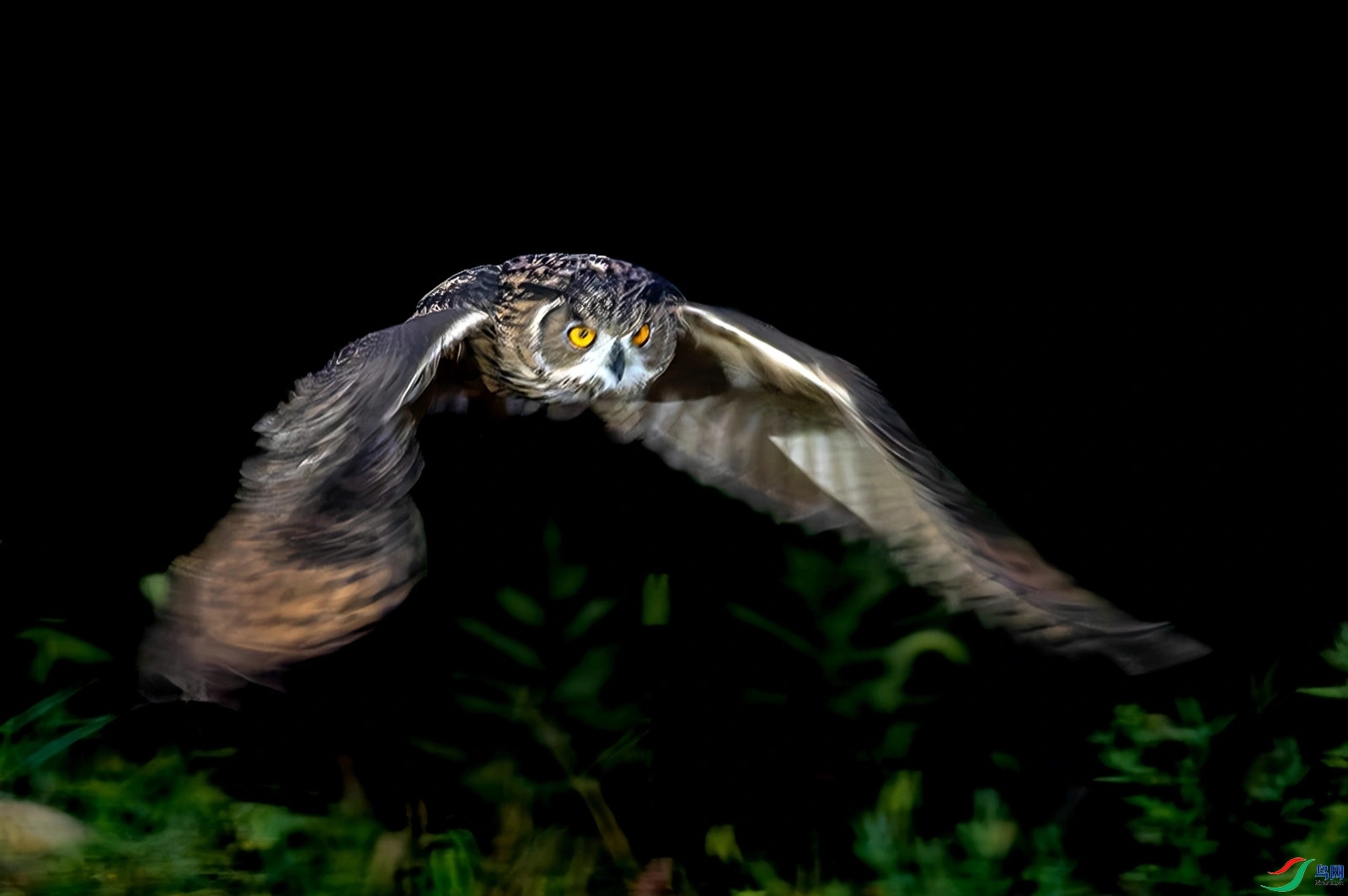 1.30_3795��ʦ��Ʒ  ��ҹѲ߮ ��ף���ٻ��Ա������.jpg