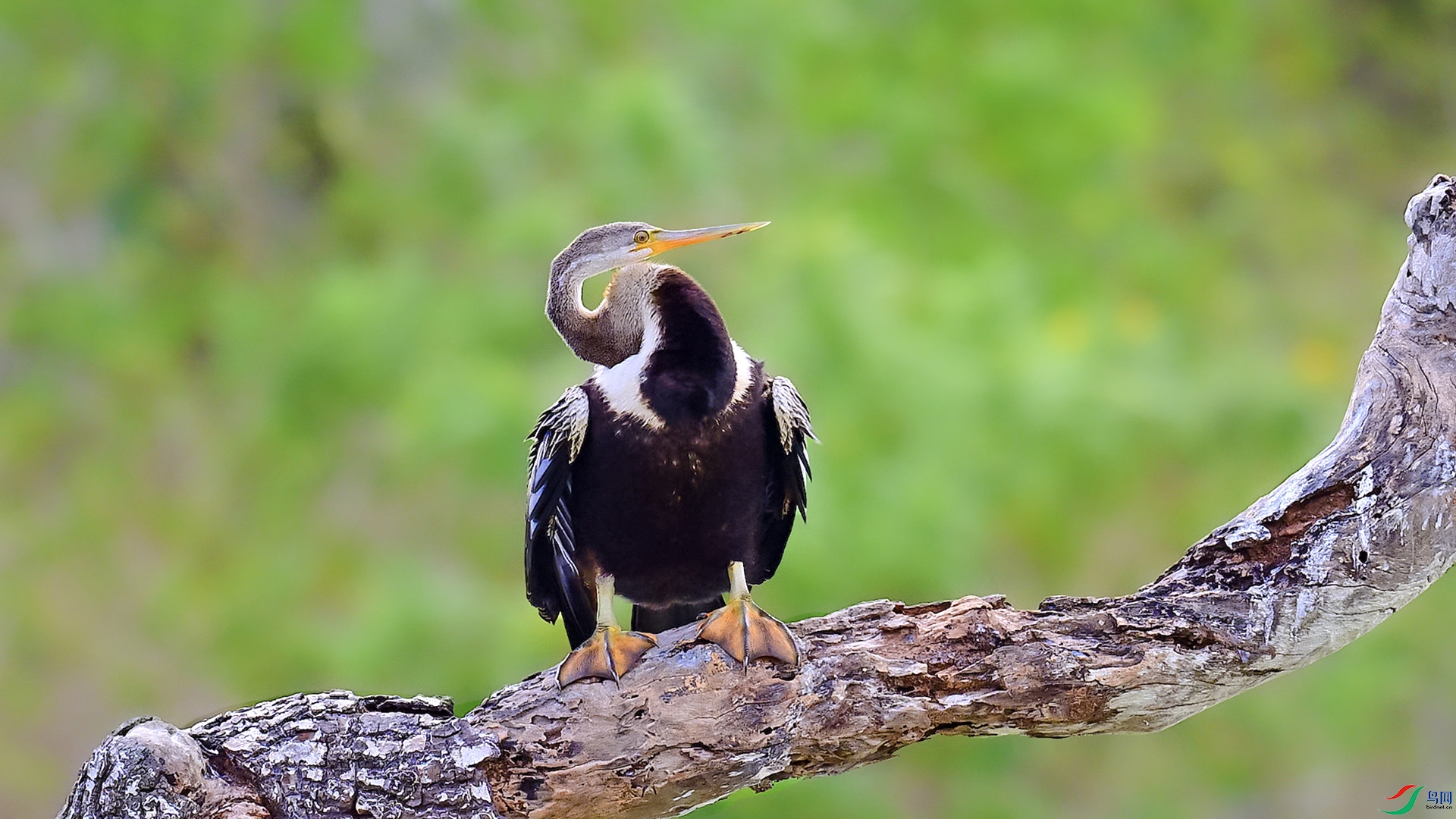 DSC_5386 ����.jpg