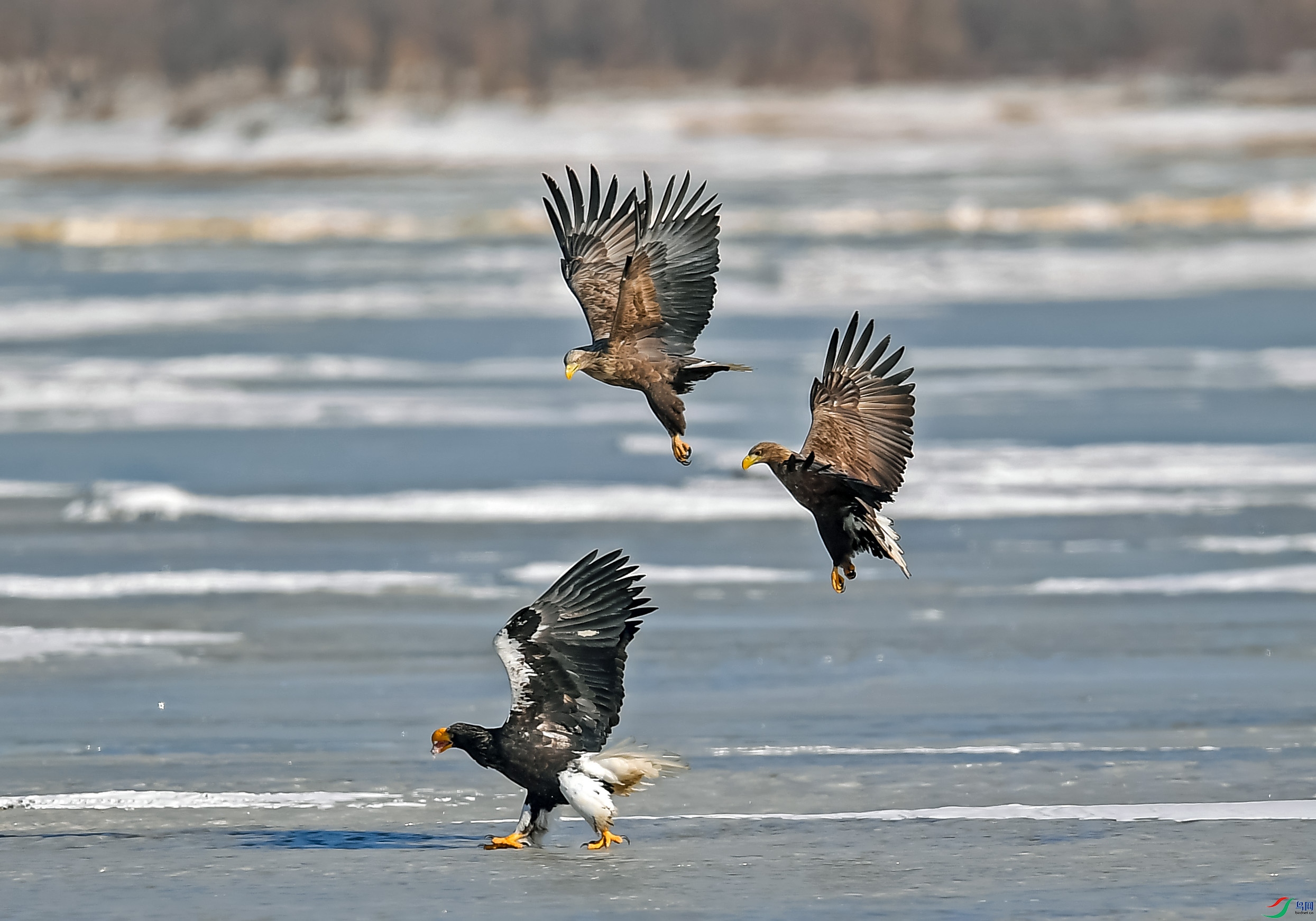 DSC_3140.jpg