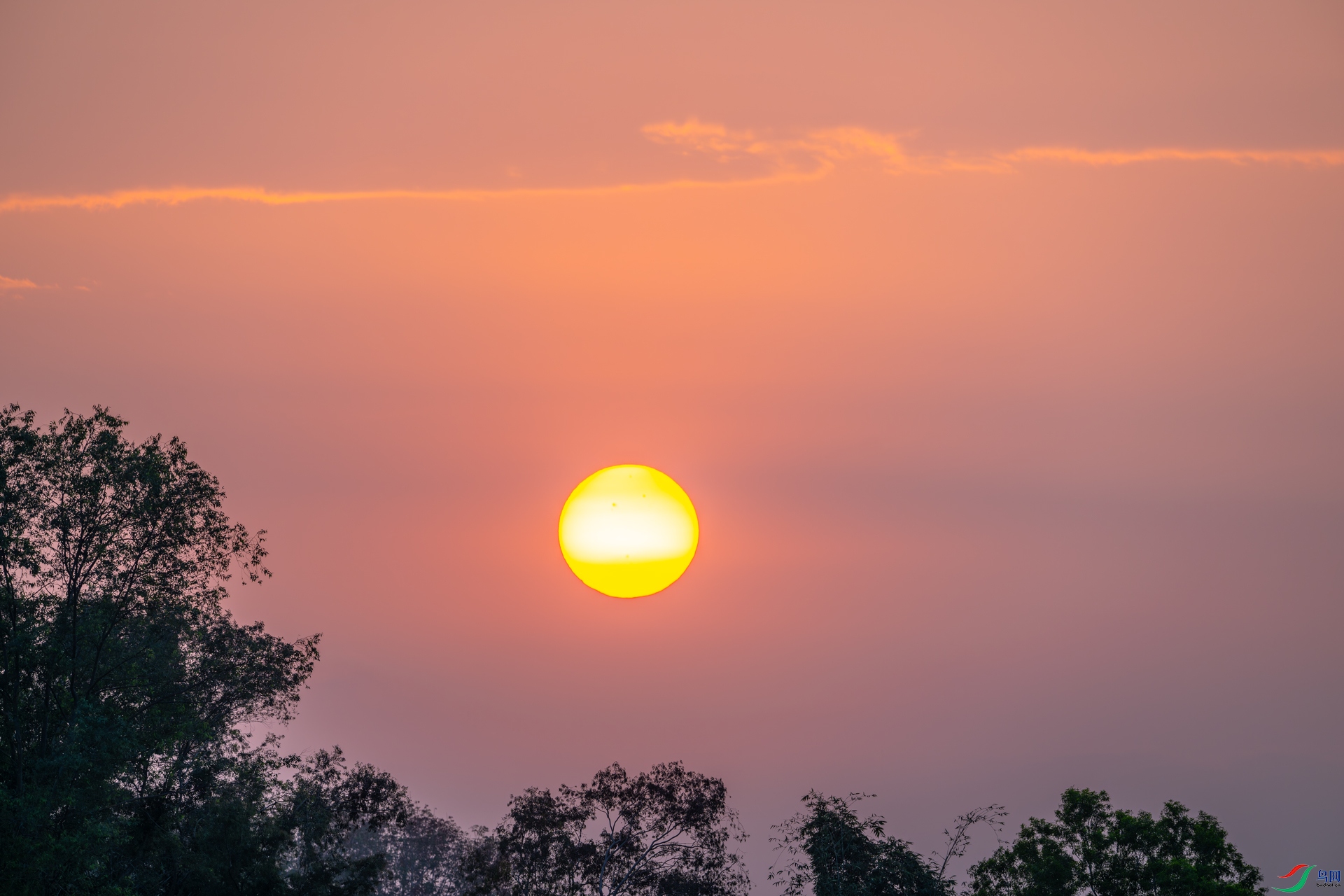 DSC_4427-1.jpg